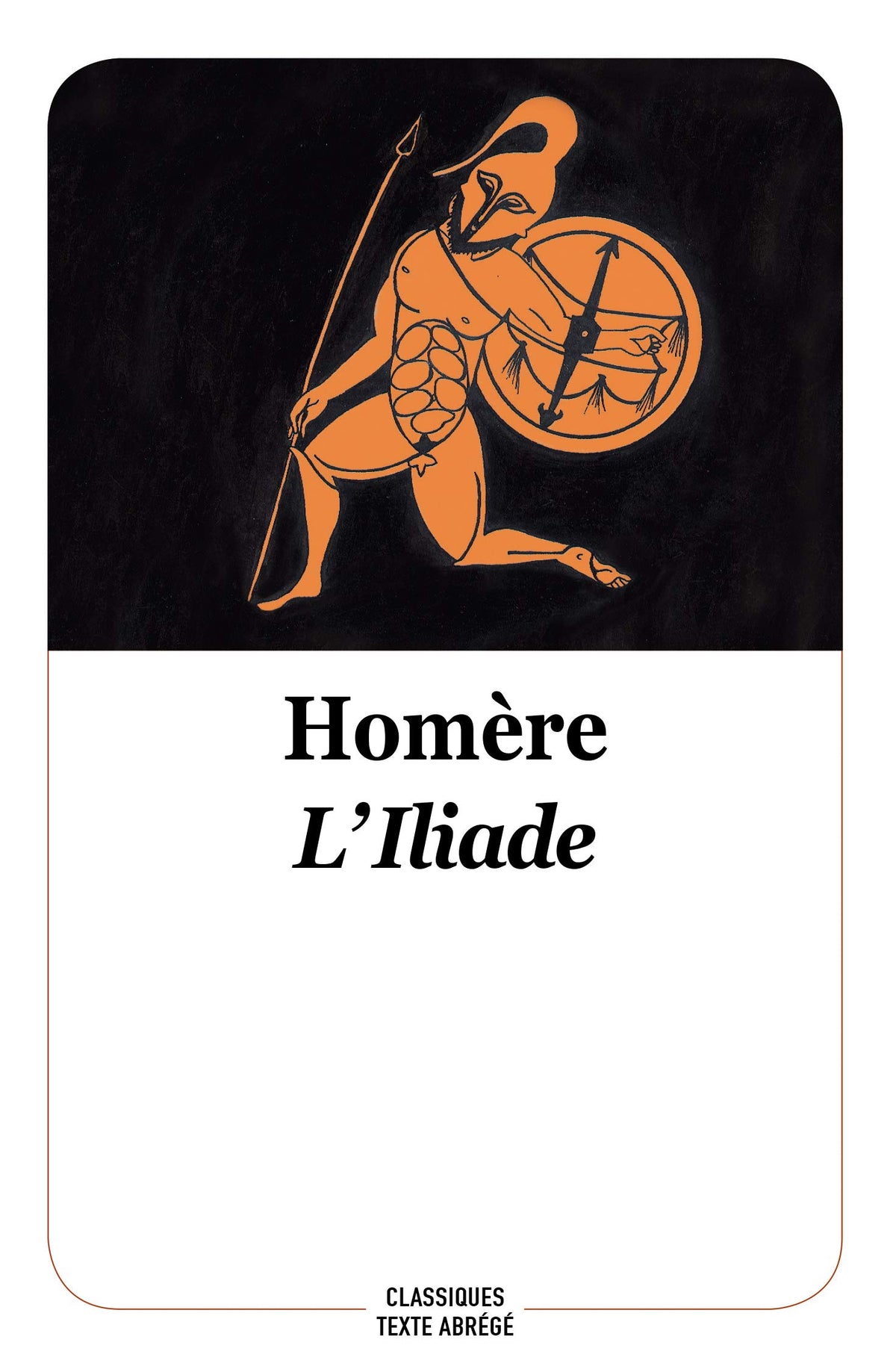 Libro: L'Iliade