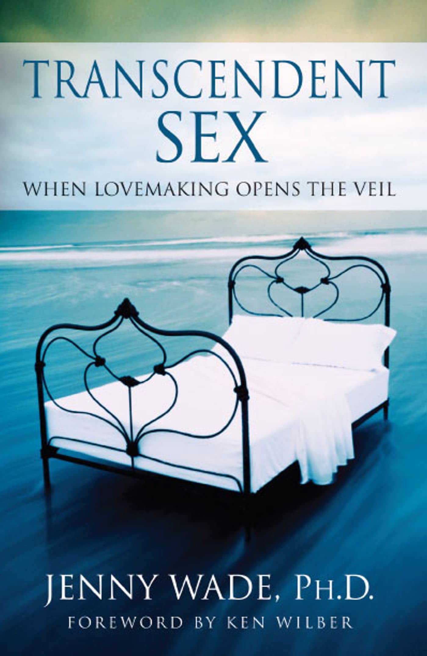 Libro: Transcendent Sex: When Lovemaking Opens the Veil