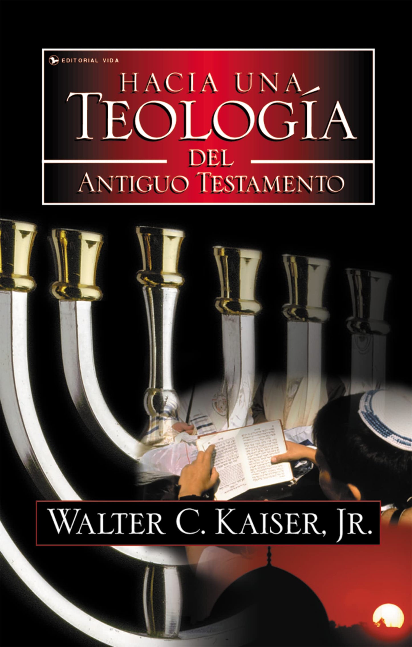 Libro: Hacia una Teología del Antiguo Testamento