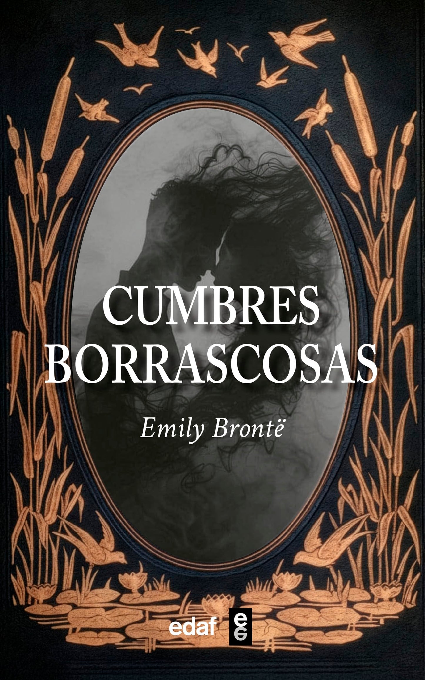 Libro: Cumbres borrascosas (Castillian Edition)