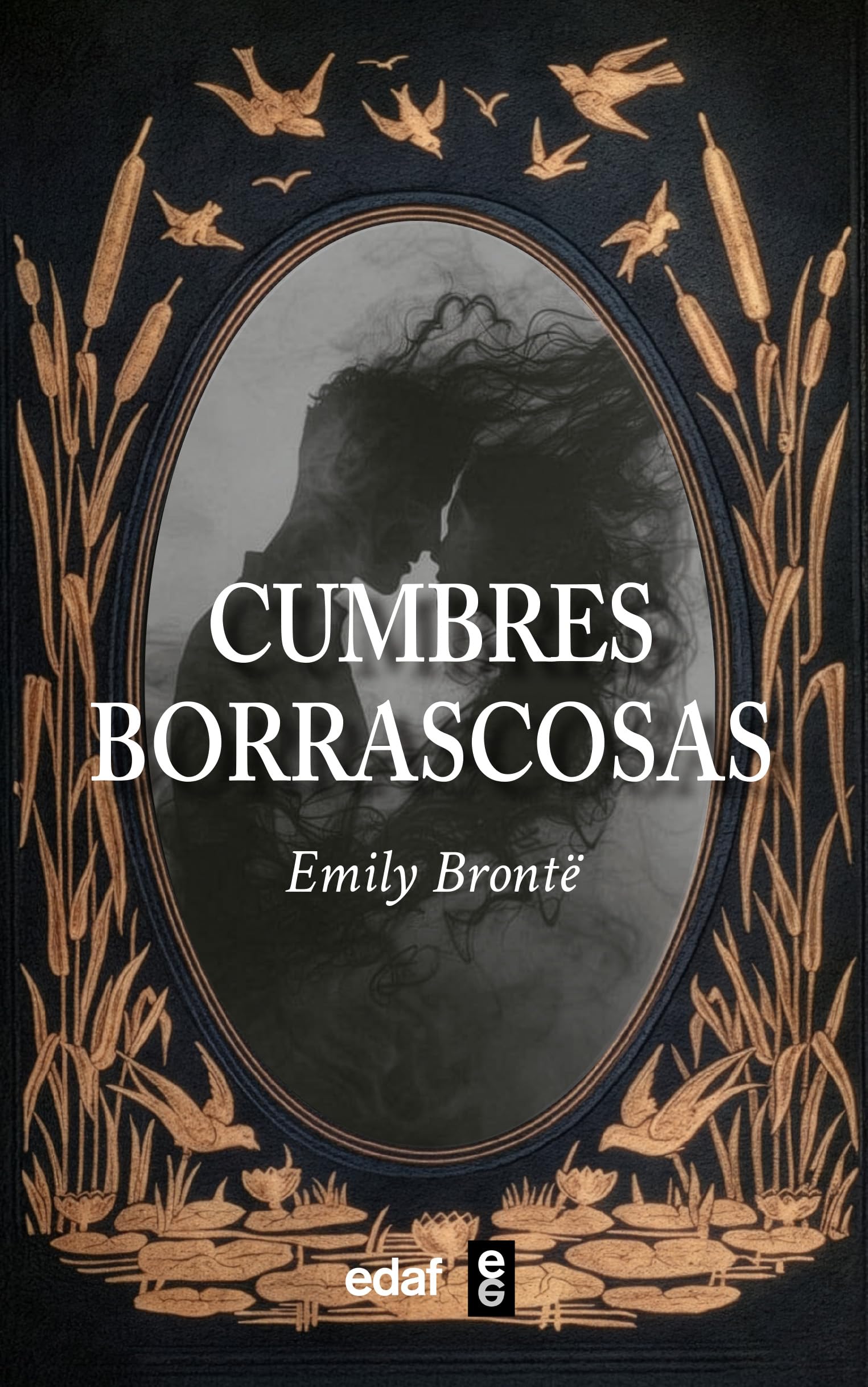 Libro: Cumbres borrascosas (Castillian Edition)