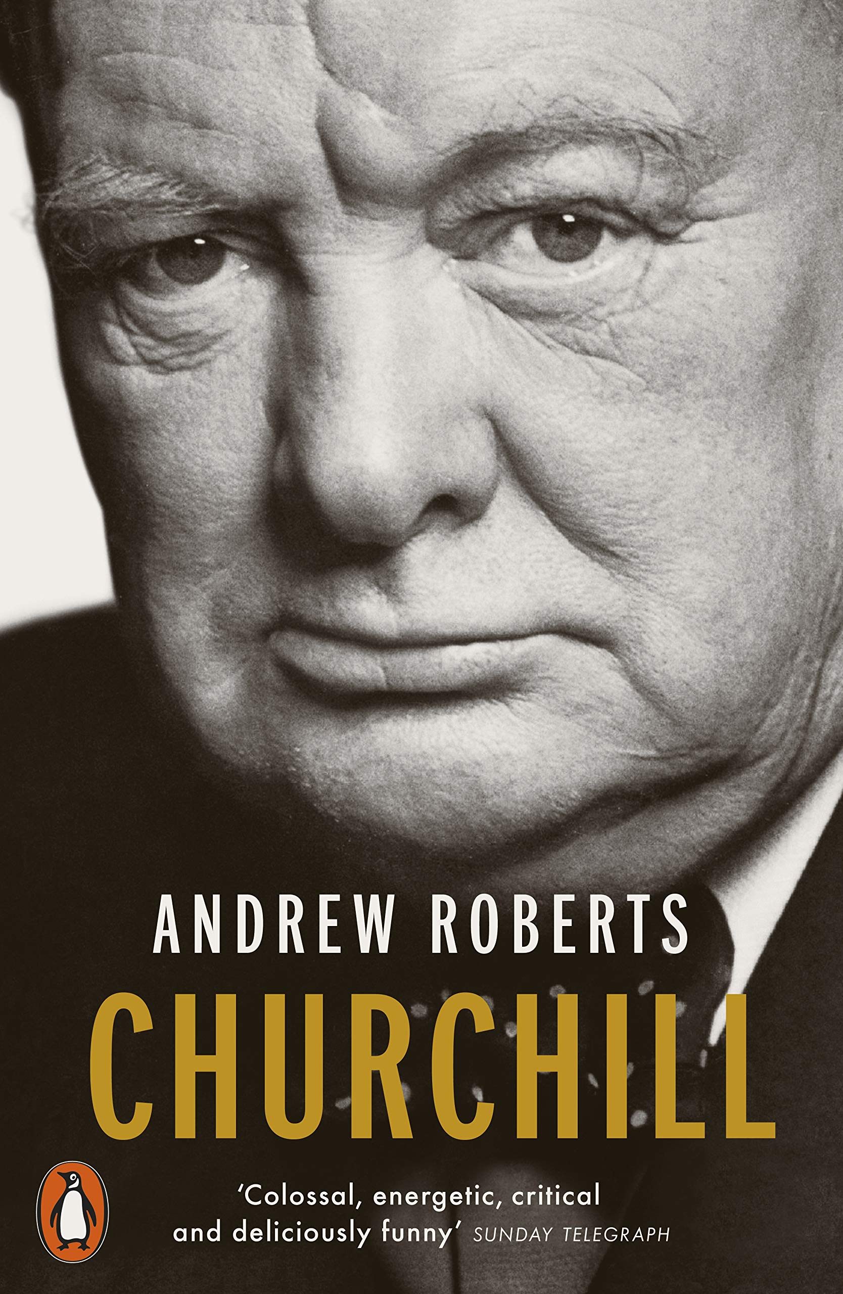Libro: Churchill: Walking with Destiny