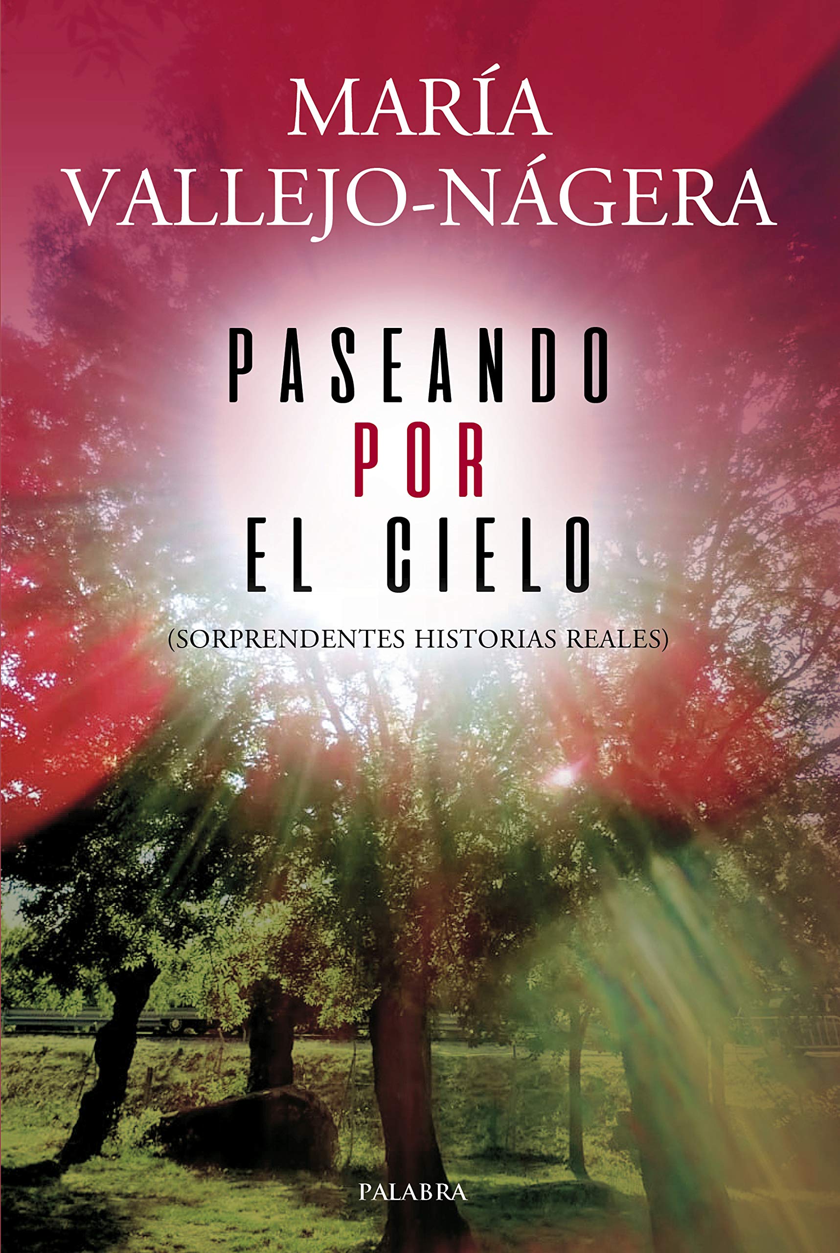 Libro: Paseando Por El Cielo: Sorprendentes historias reales (Palabra hoy)