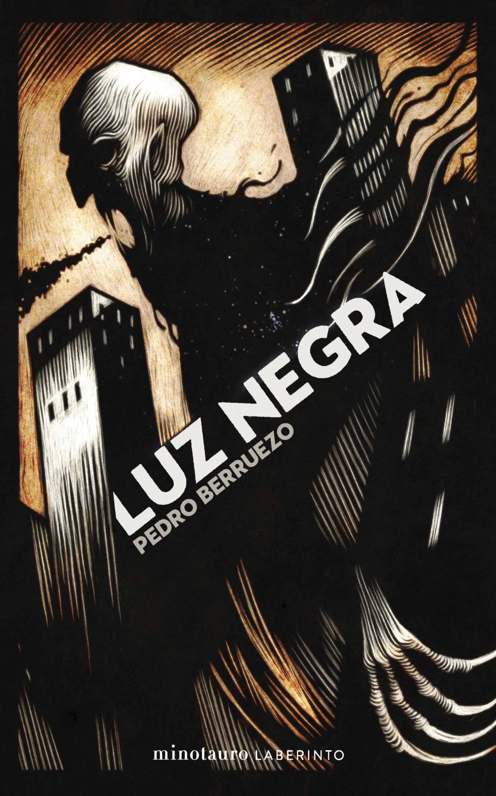 Libro: Luz negra (Minotauro Laberinto)