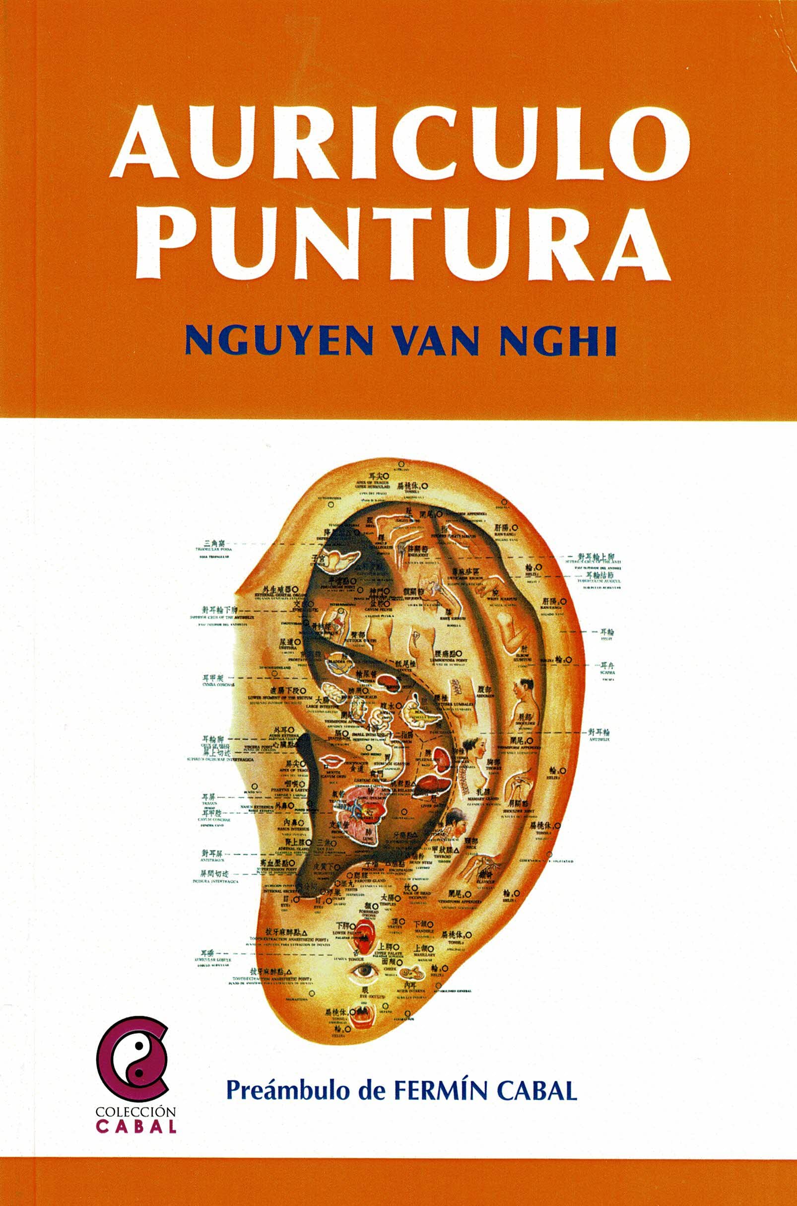 Libro: Reiki, preguntas y respuestas