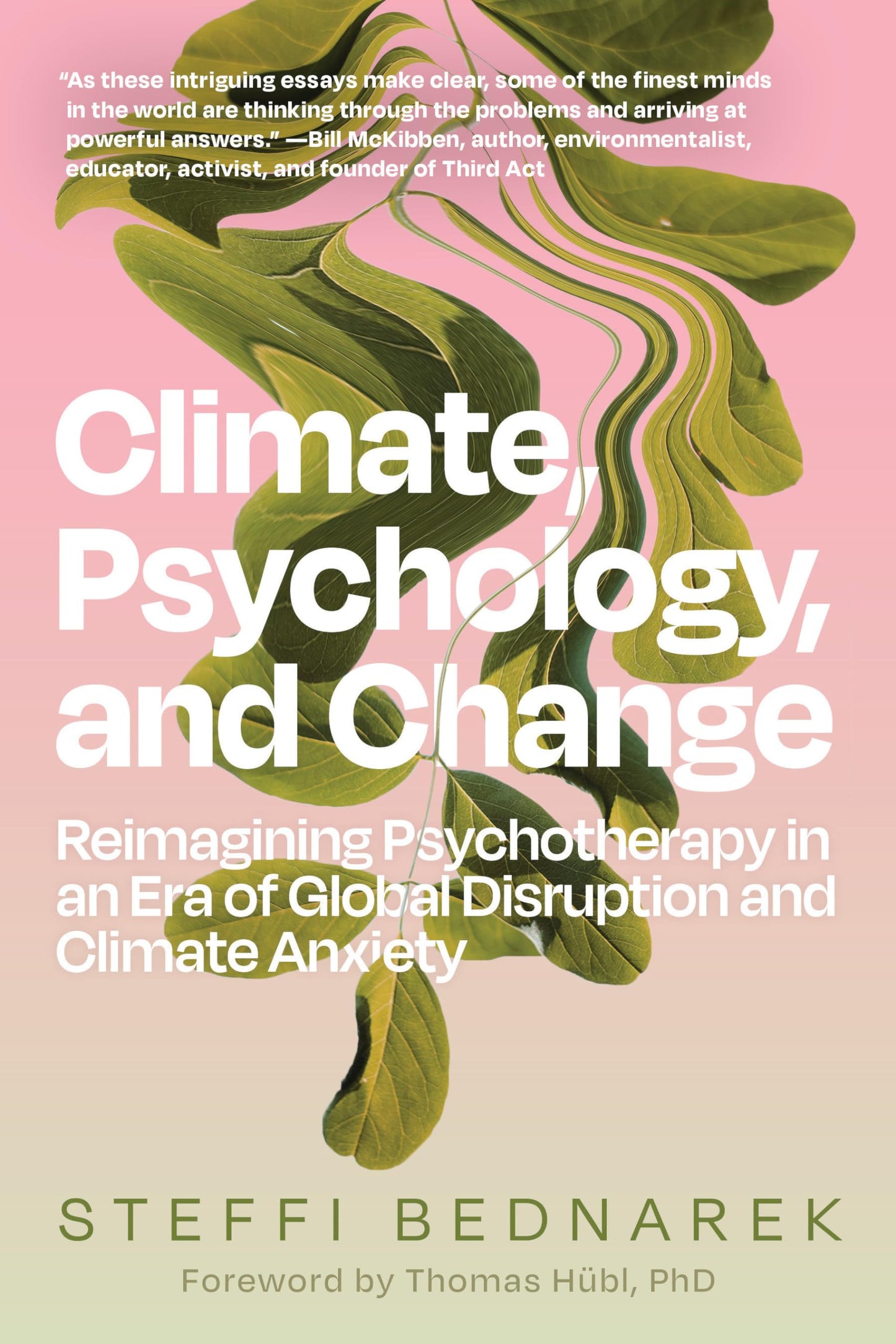Libro: Climate, Psychology, and Change: Reimagining Psychotherapy in an Era of Global Disruption and Climate Anxiety