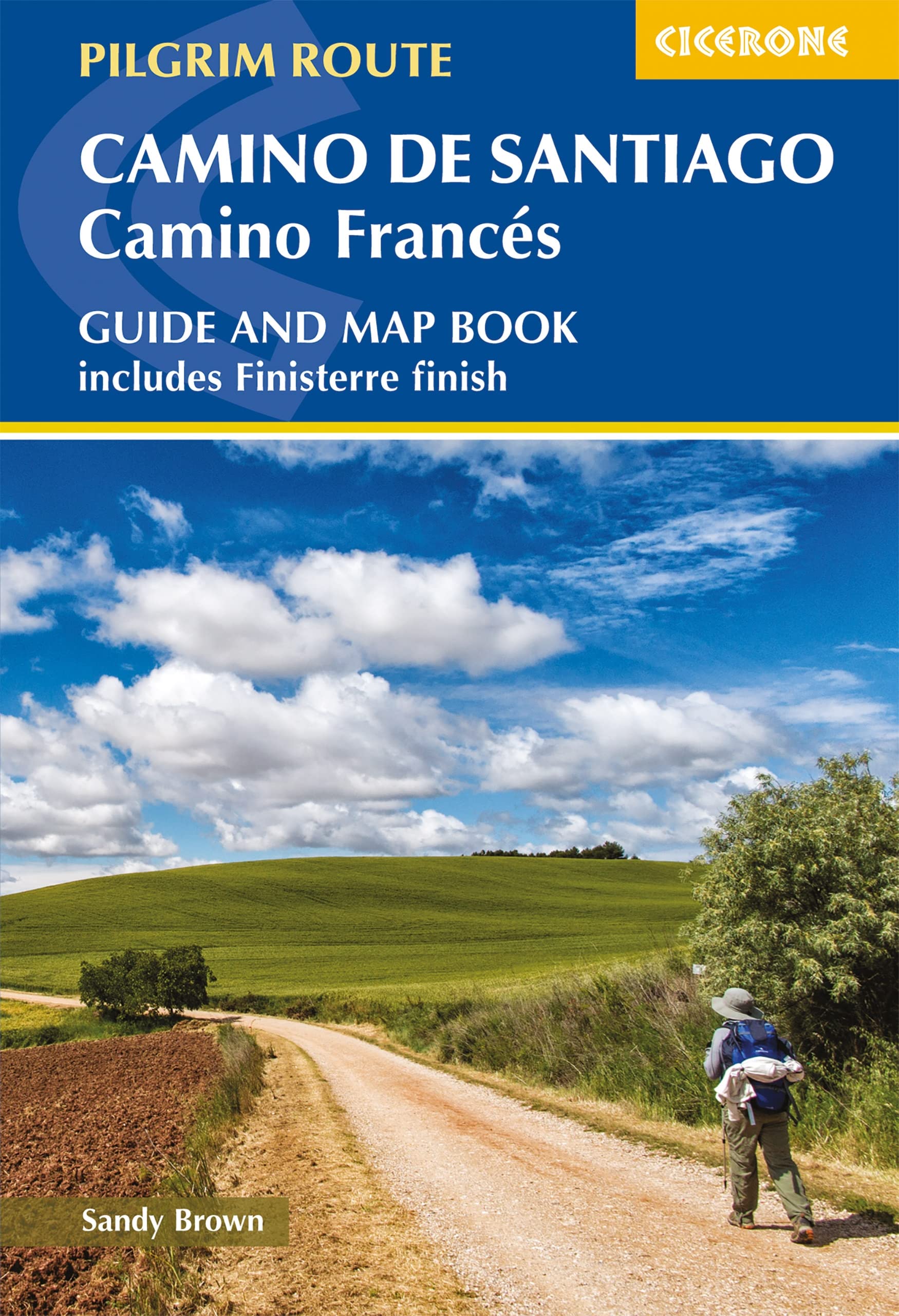 Libro: Camino de santiago : camino frances: Guide and map book - includes Finisterre finish (Cicerone Guides)