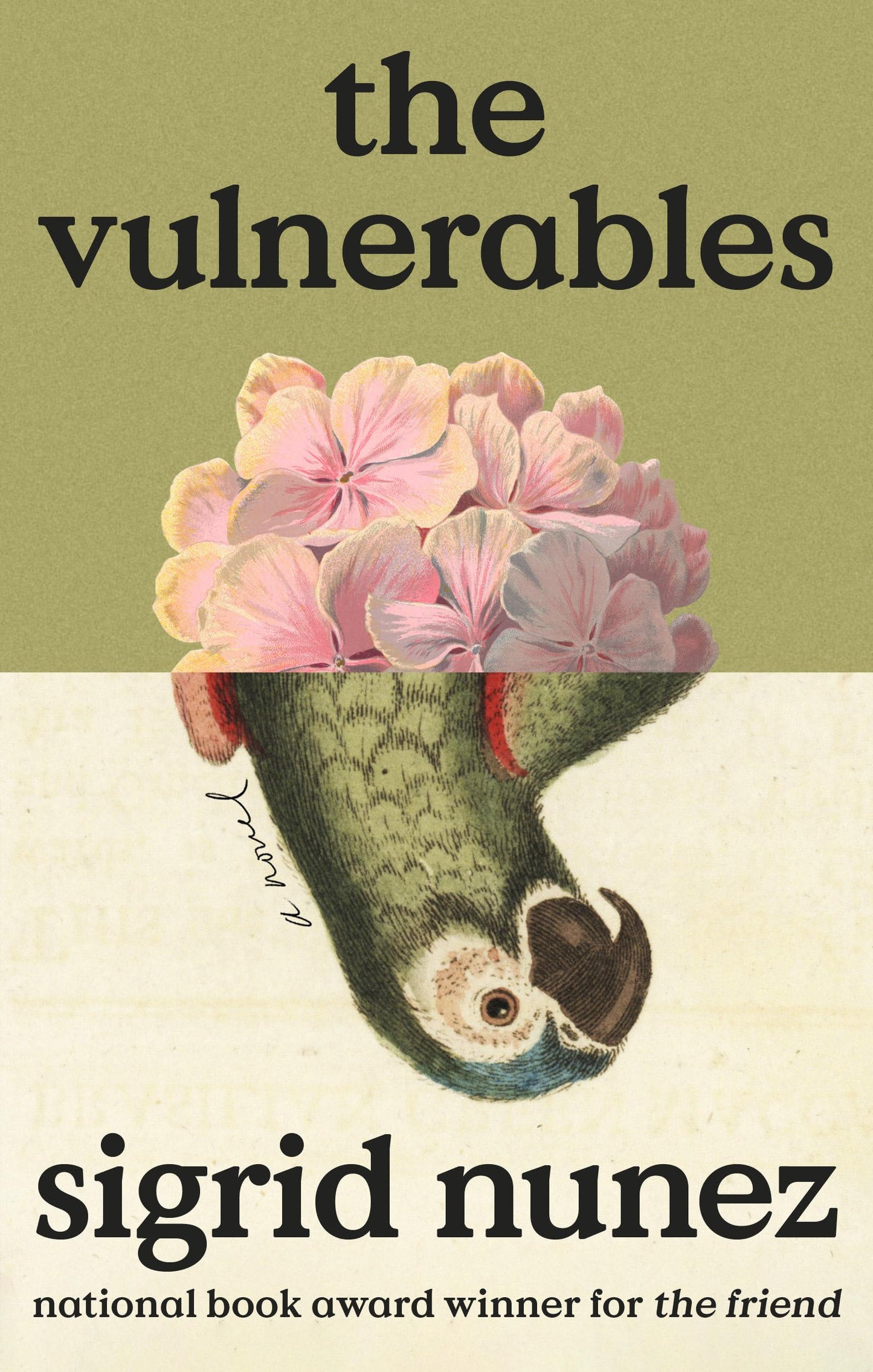 Libro: The Vulnerables: A Novel
