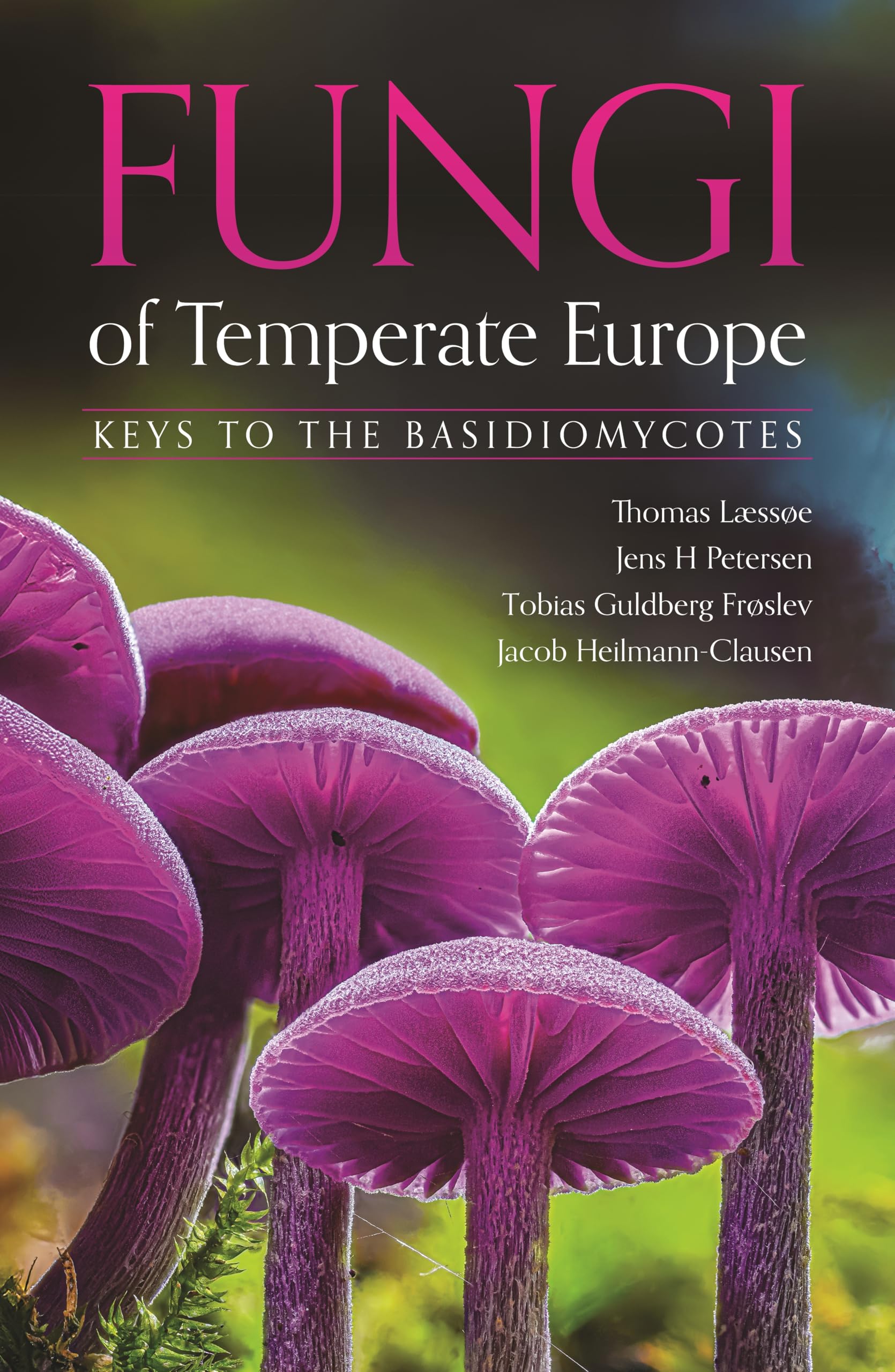 Libro: Fungi of Temperate Europe: Keys to the Basidiomycotes