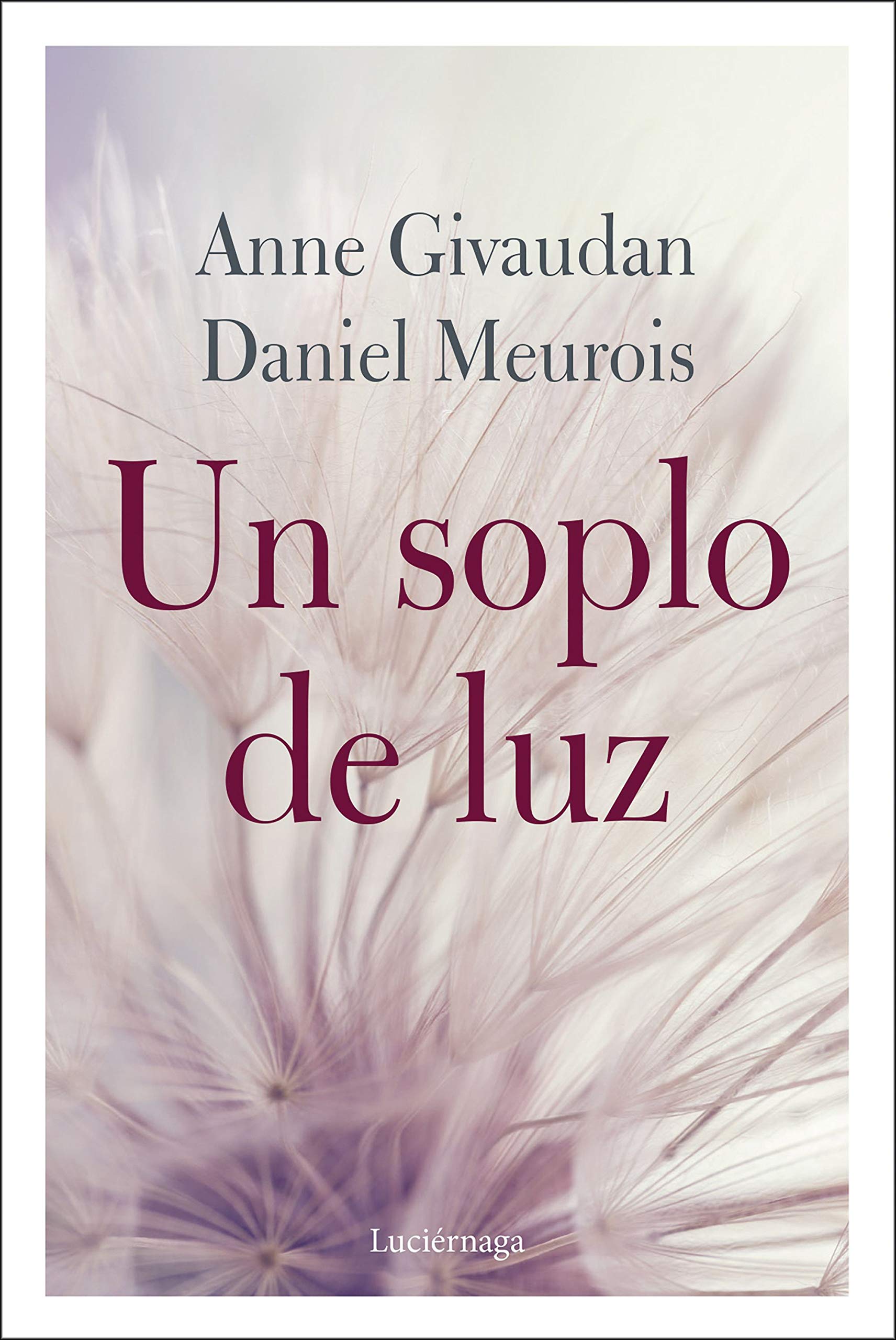 Libro: Un soplo de luz (LIBROS DE CABECERA)