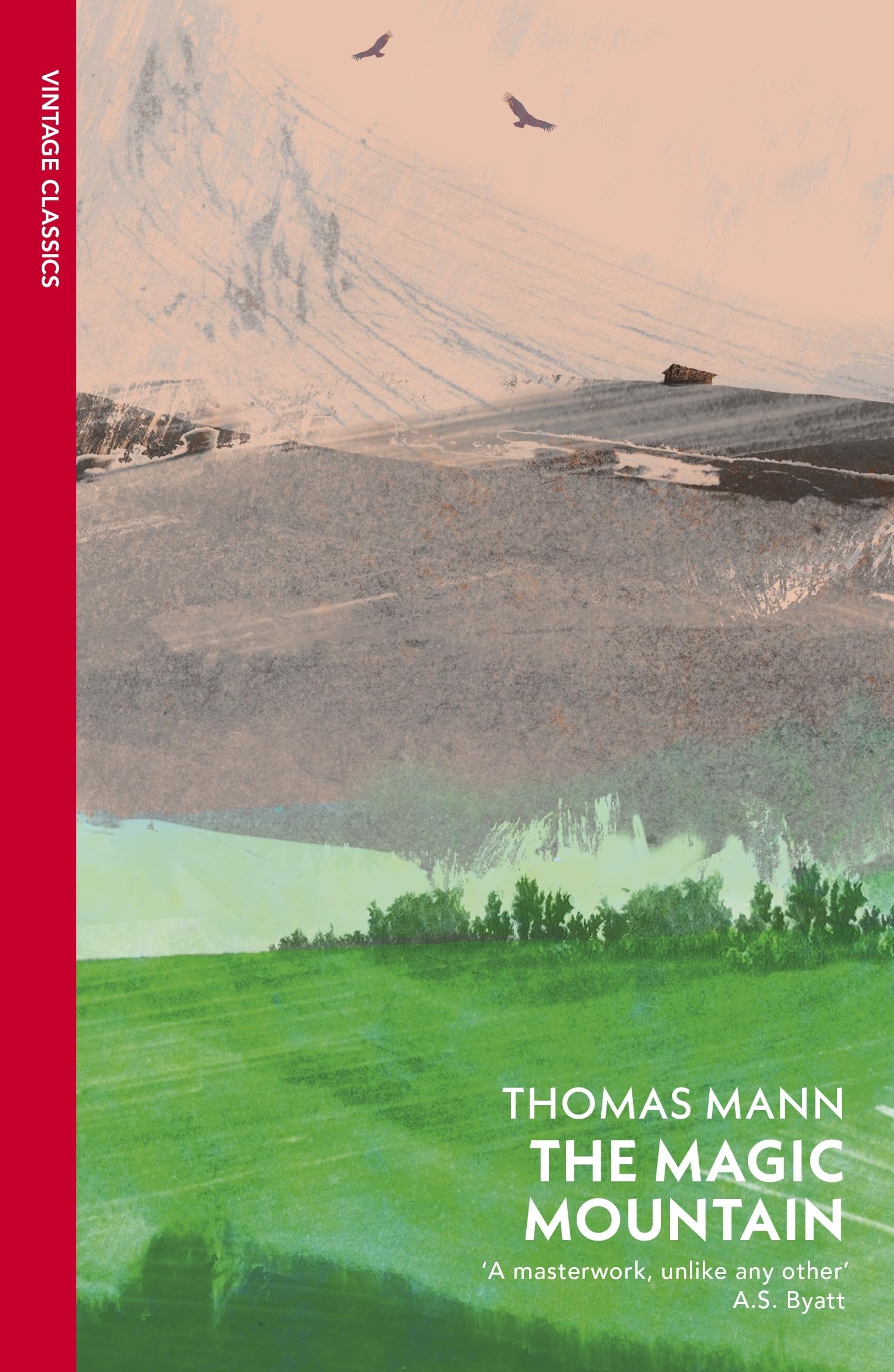 Libro: The Magic Mountain
