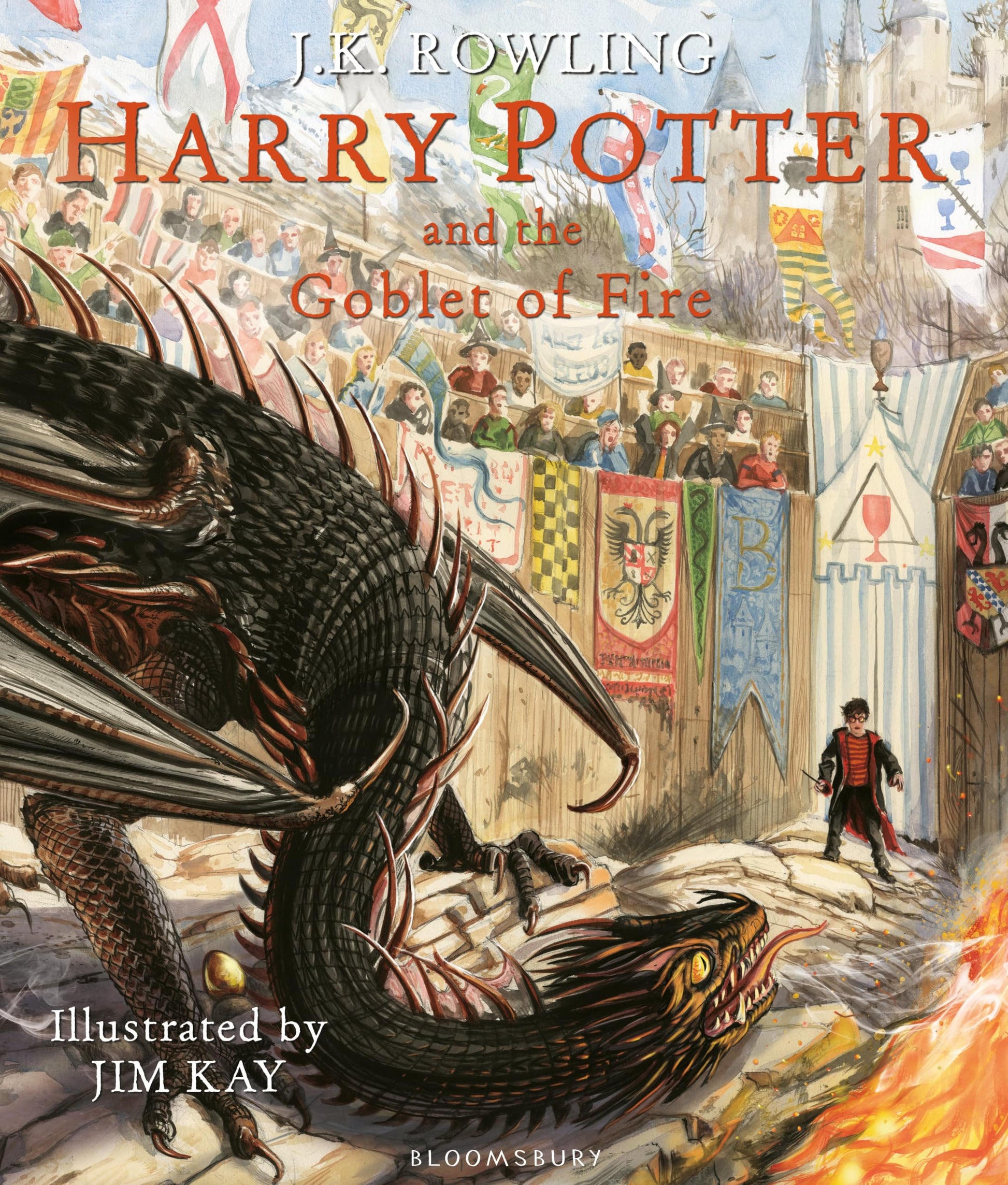 Libro: Harry Potter and the Goblet of Fire: Illustrated Edition (Harry Potter Illustrated Edtn)