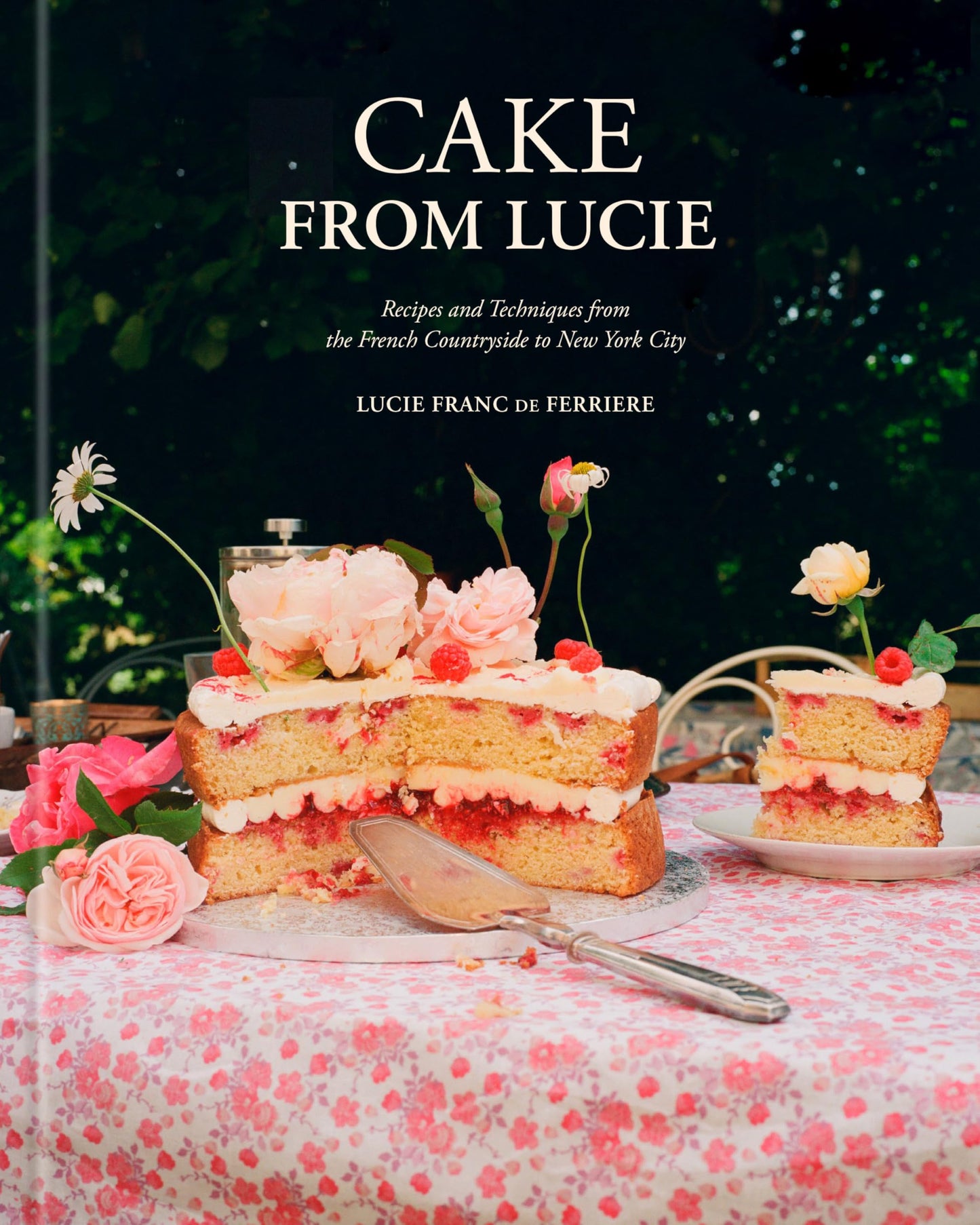 Libro: Cake From Lucie: Recipes and Techniques from the French Countryside to New York City: A Baking Book
