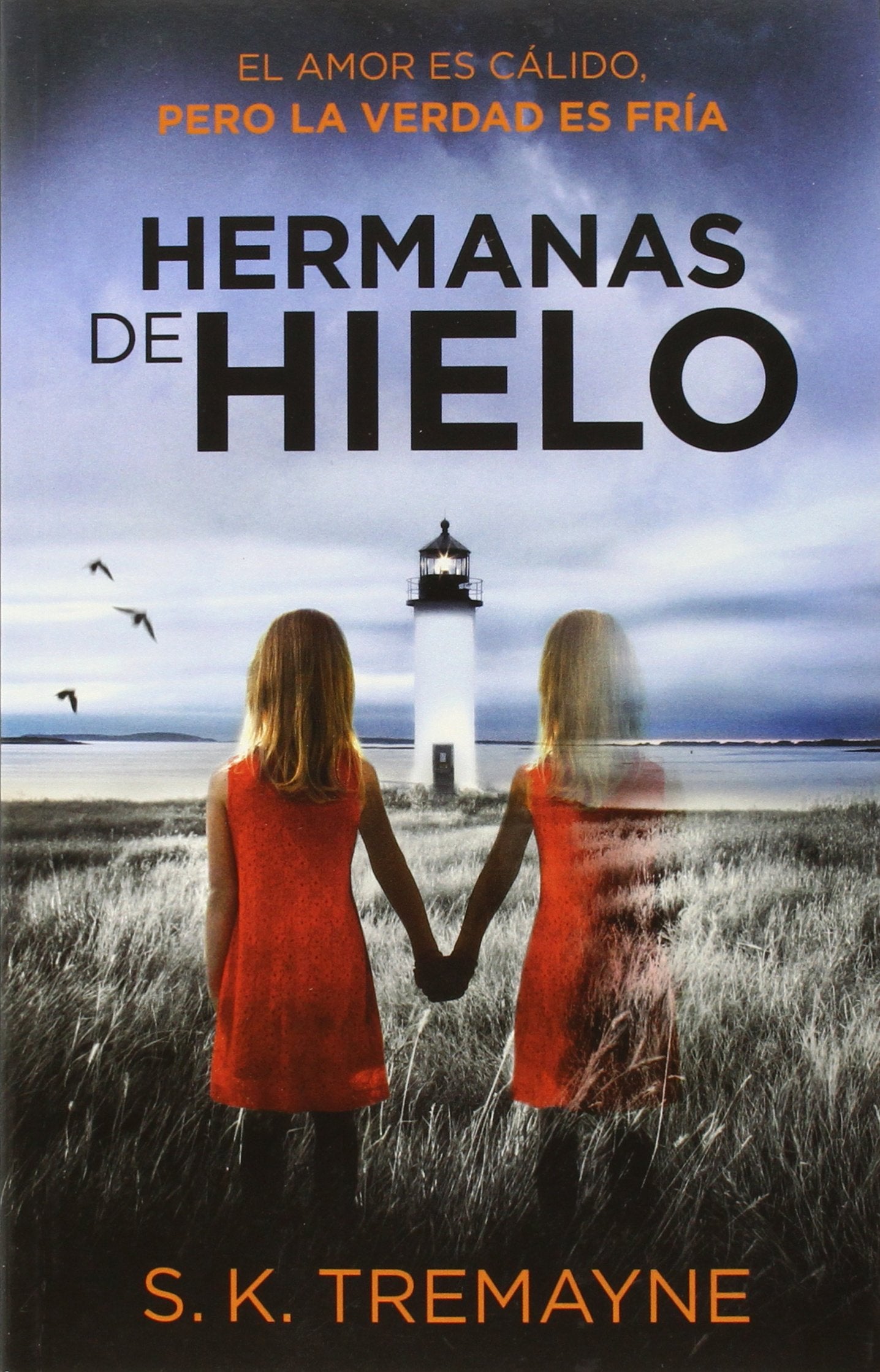 Libro: Las hermanas de hielo
