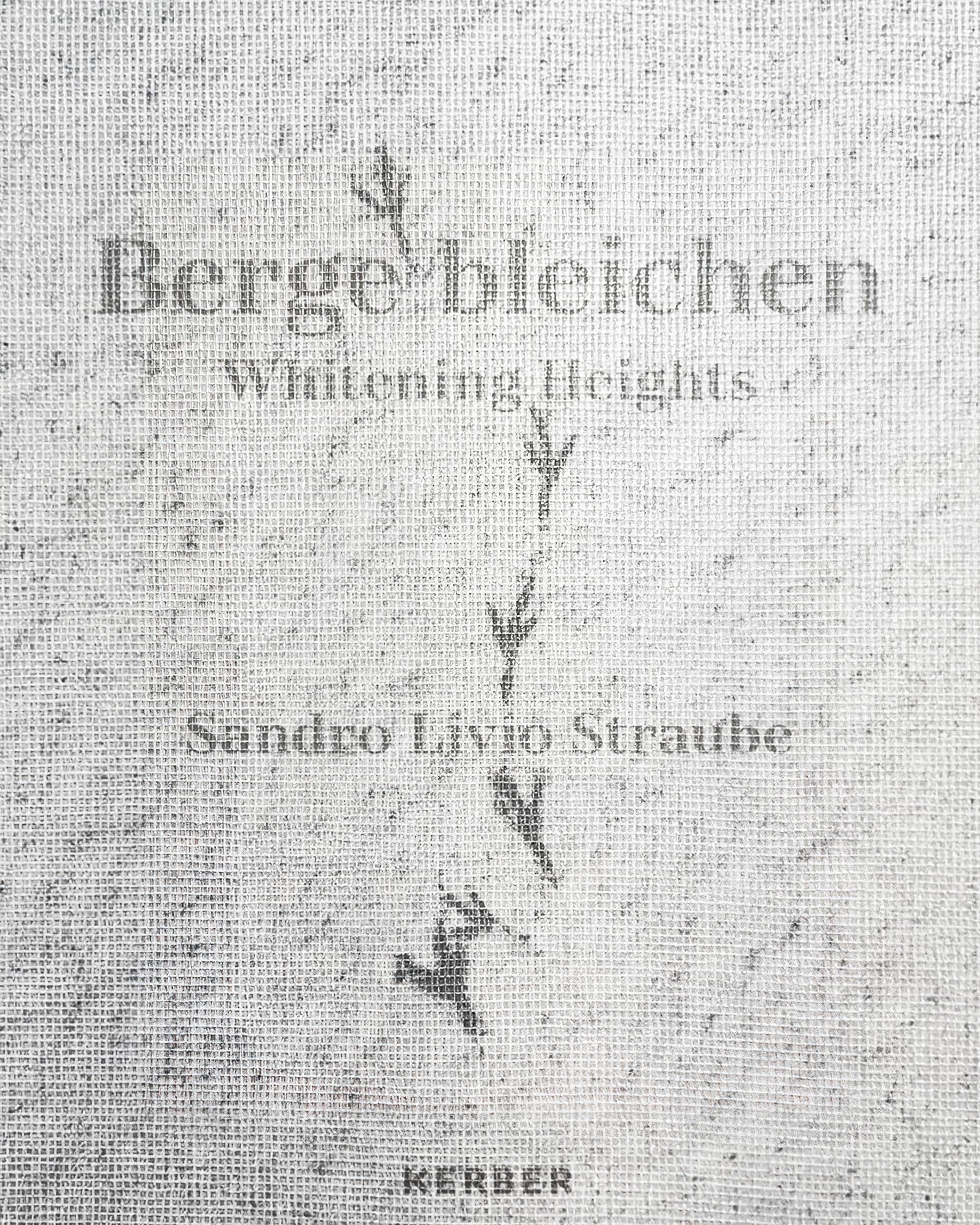 Libro: Whitening Heights: Sandro Livio Straube: Berge bleichen