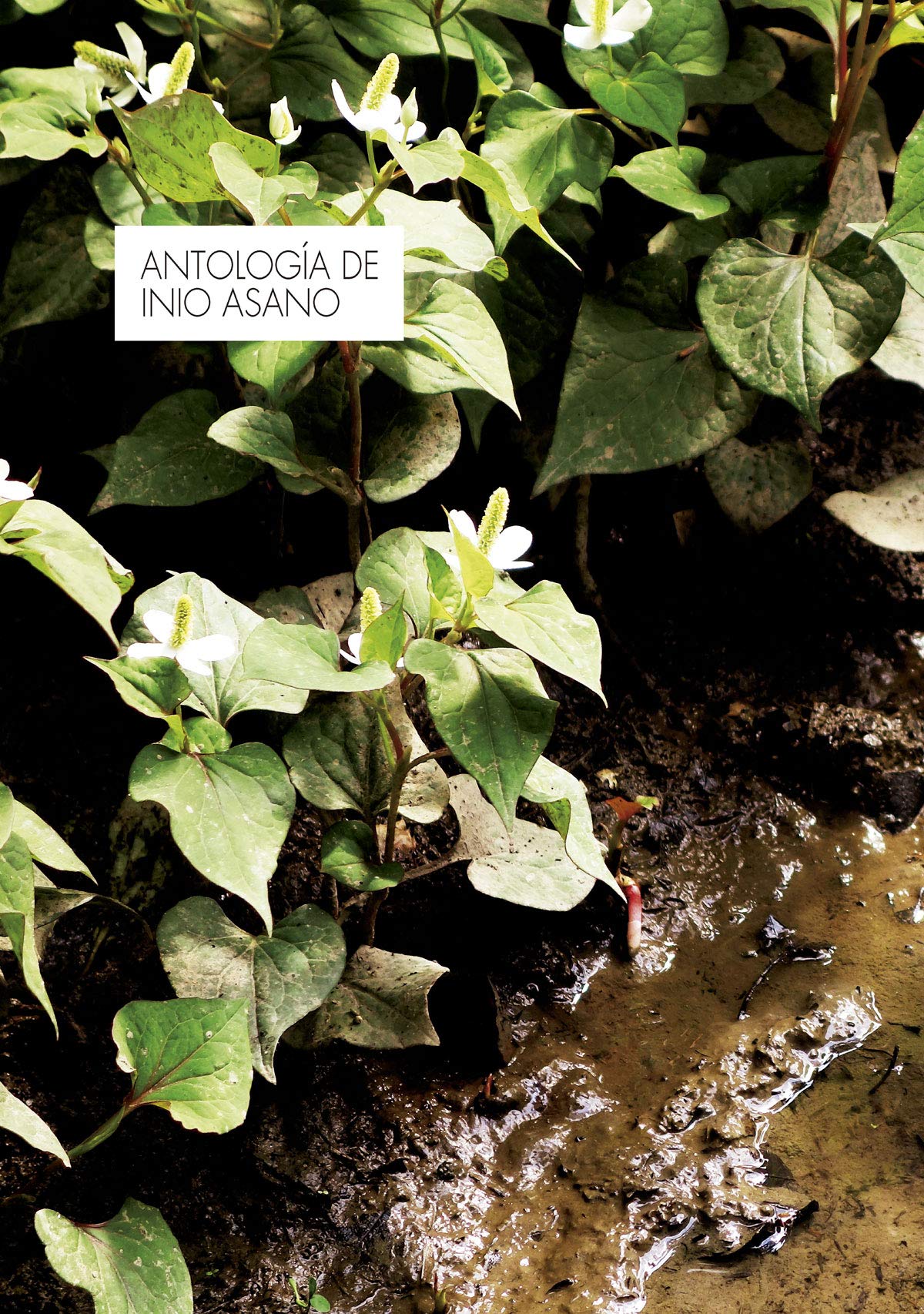 Libro: Antología De Inio Asano (SIN COLECCION)