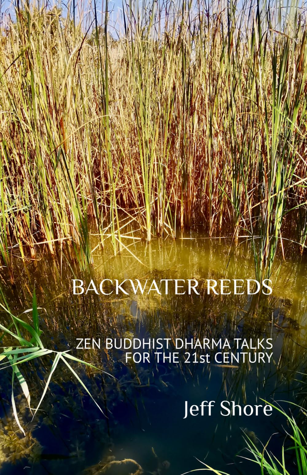 Libro: BACKWATER REEDS: ZEN BUDDHIST DHARMA TALKS FOR THE 21st CENTURY