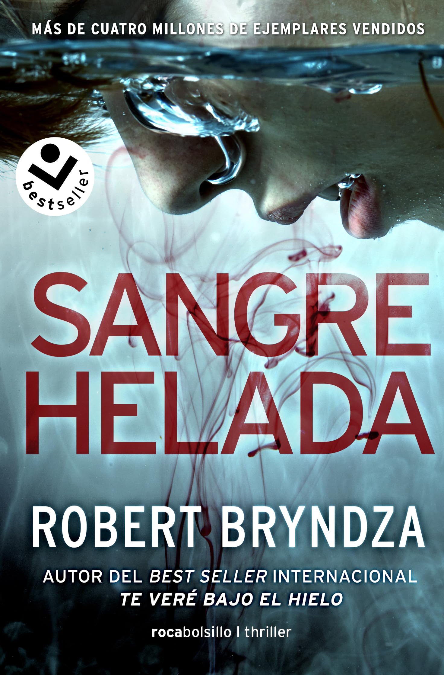 Libro: Sangre helada (Serie Erika Foster 5) (Best Seller | Thriller)
