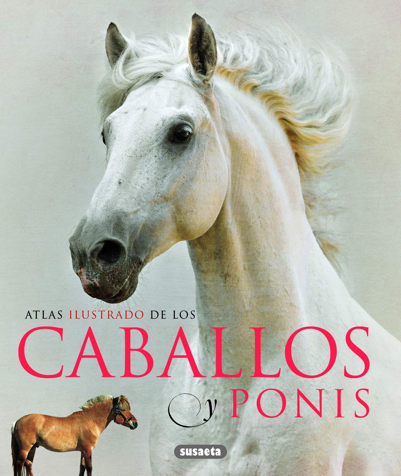 Atlas Ilustrado De Los Caballos Y Ponys