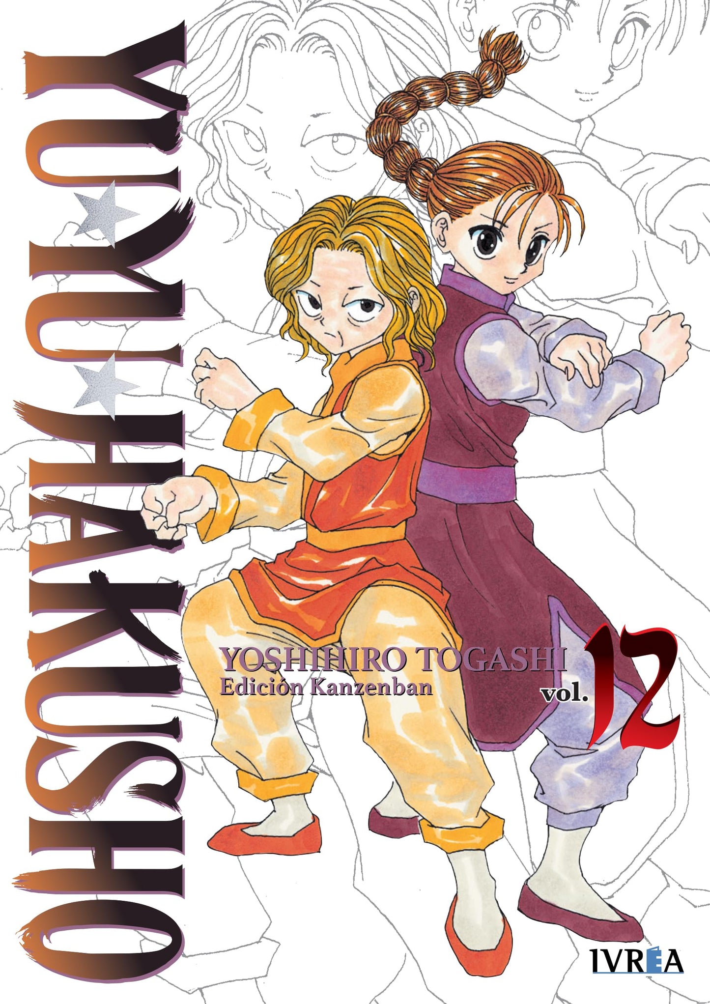 Libro: Yu Yu Hakusho Edición Kanzenban 12