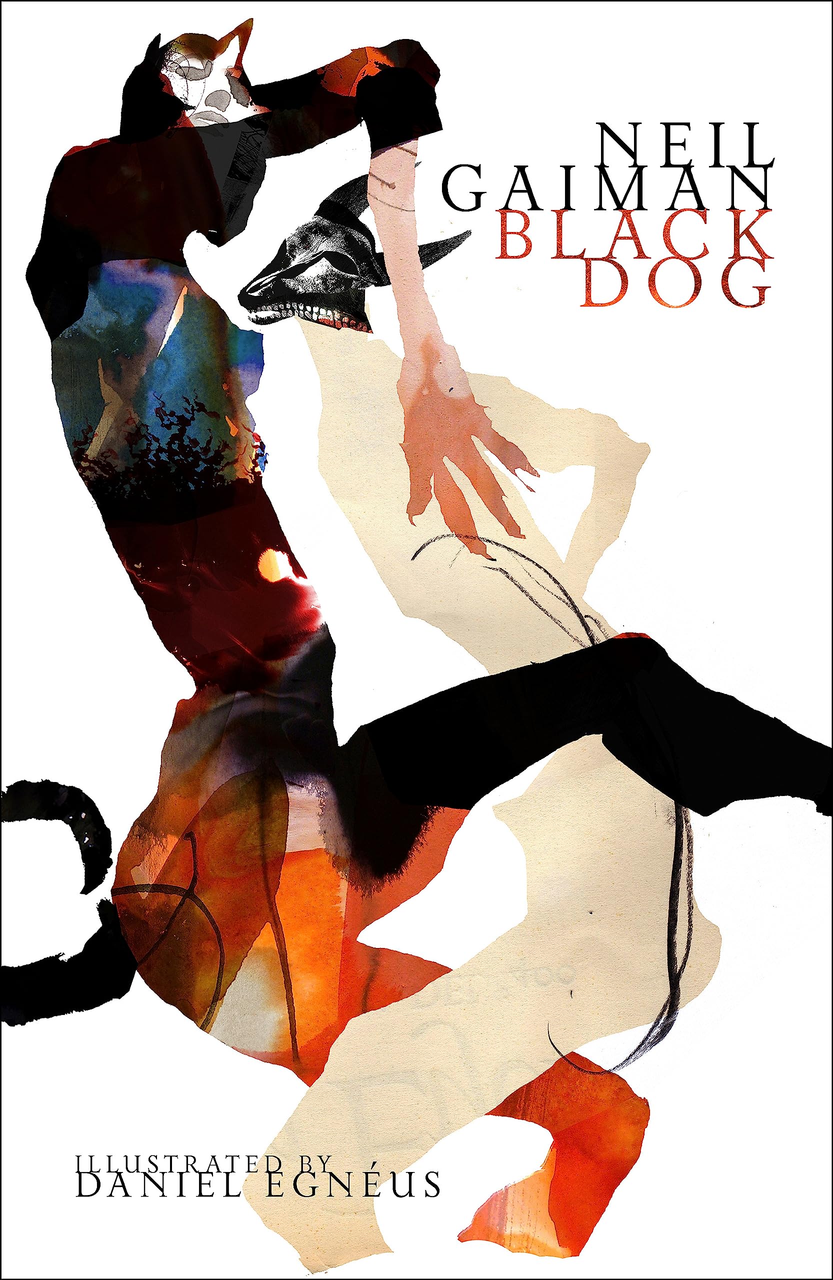 Libro: Black Dog