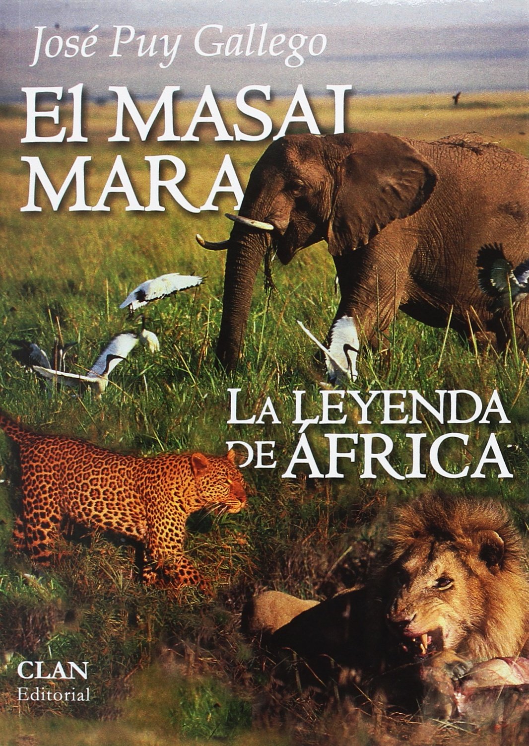 Libro: El Masai Mara: La Leyenda de África (FONDO)