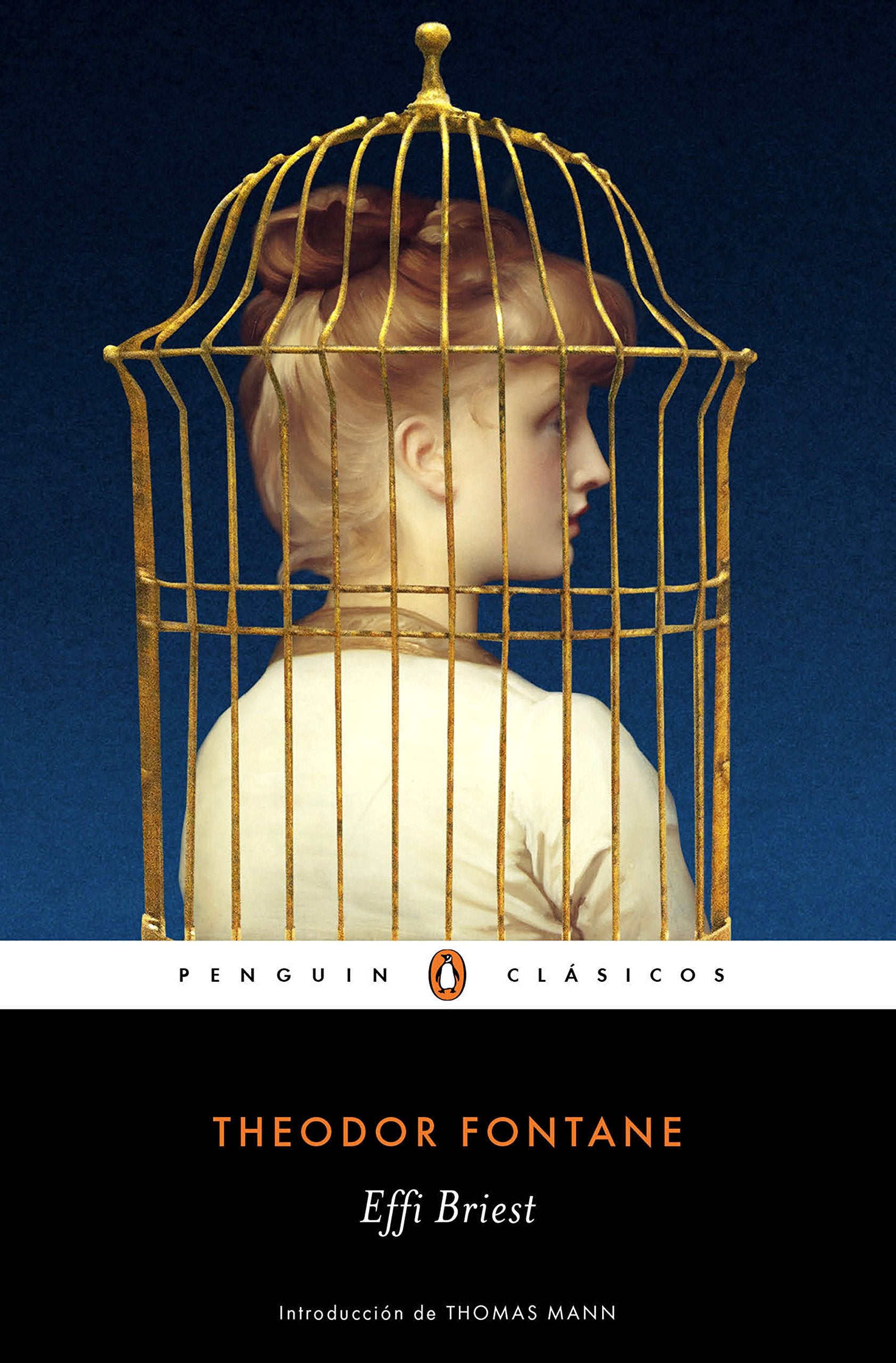 Libro: Effi Briest: con introducción de Thomas Mann (Penguin Clásicos)
