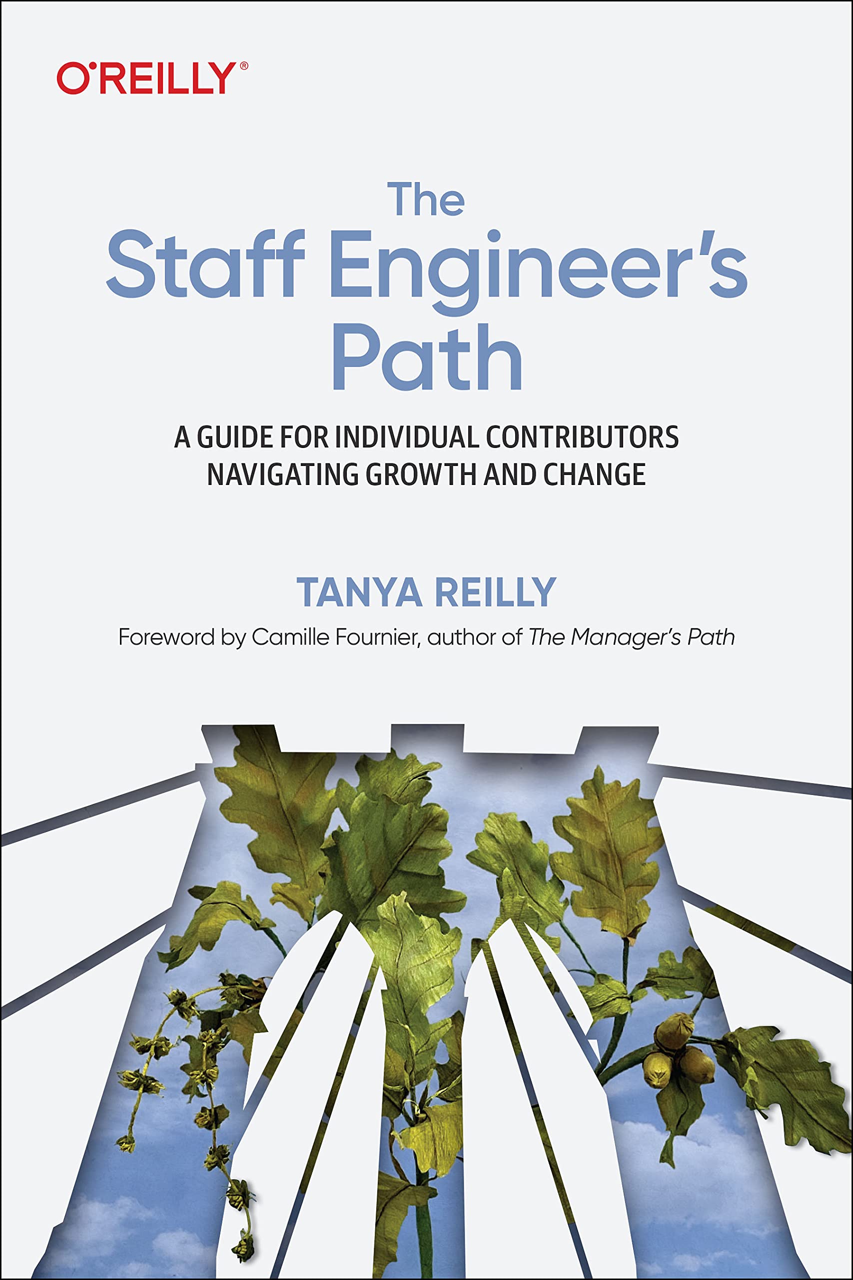 Libro: The Staff Engineer's Path: A Guide For Individual Contributors Navigating Growth and Change