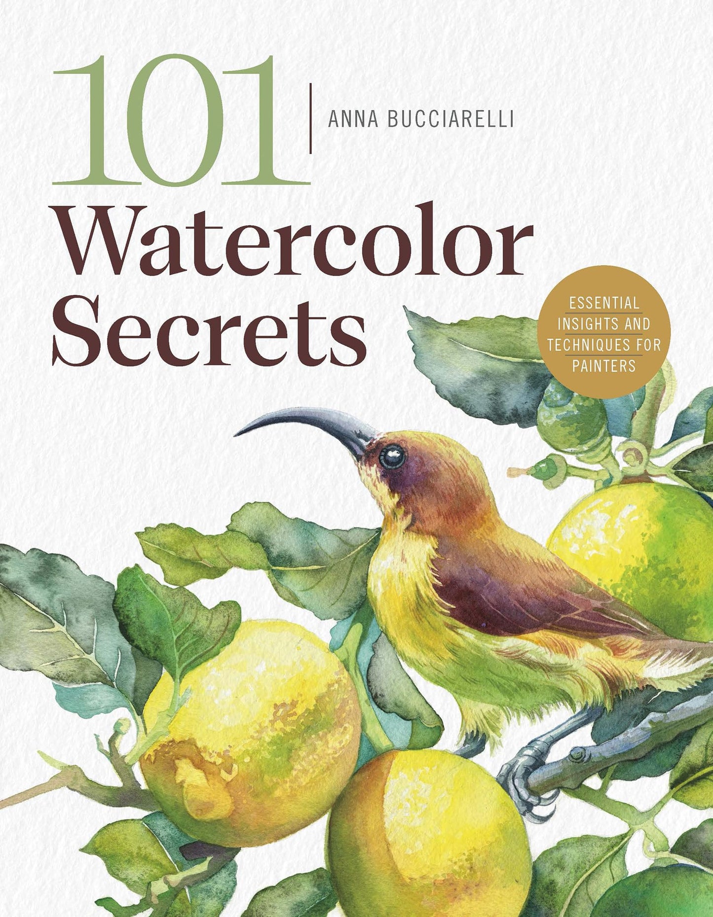 Libro: 101 Watercolor Secrets: Essential Insights and Techniques for Painters