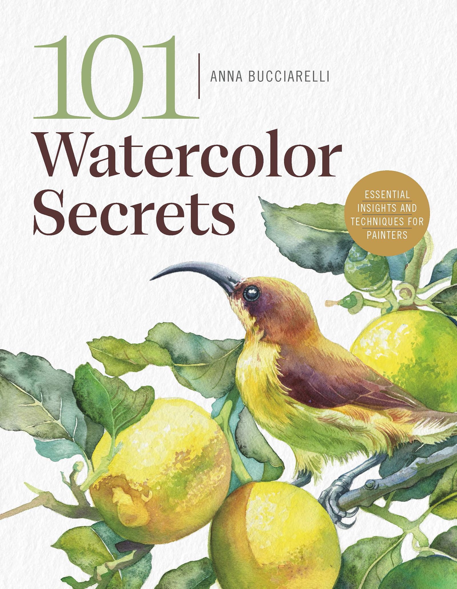 Libro: 101 Watercolor Secrets: Essential Insights and Techniques for Painters