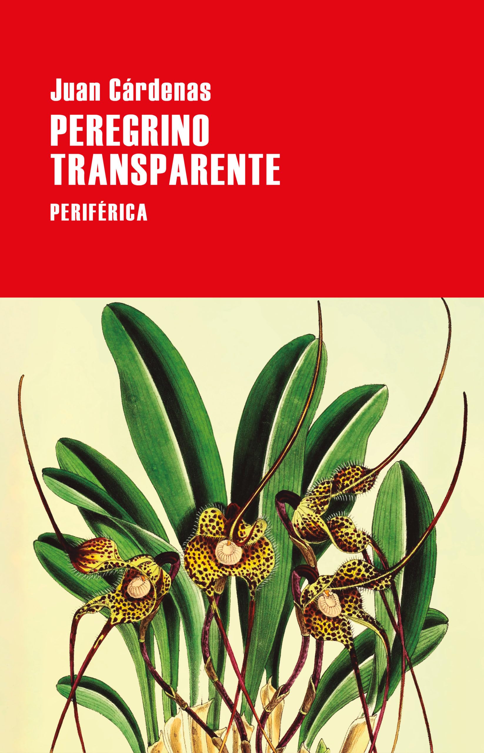 Libro: Peregrino transparente (Largo Recorrido, 183) (Spanish Edition)