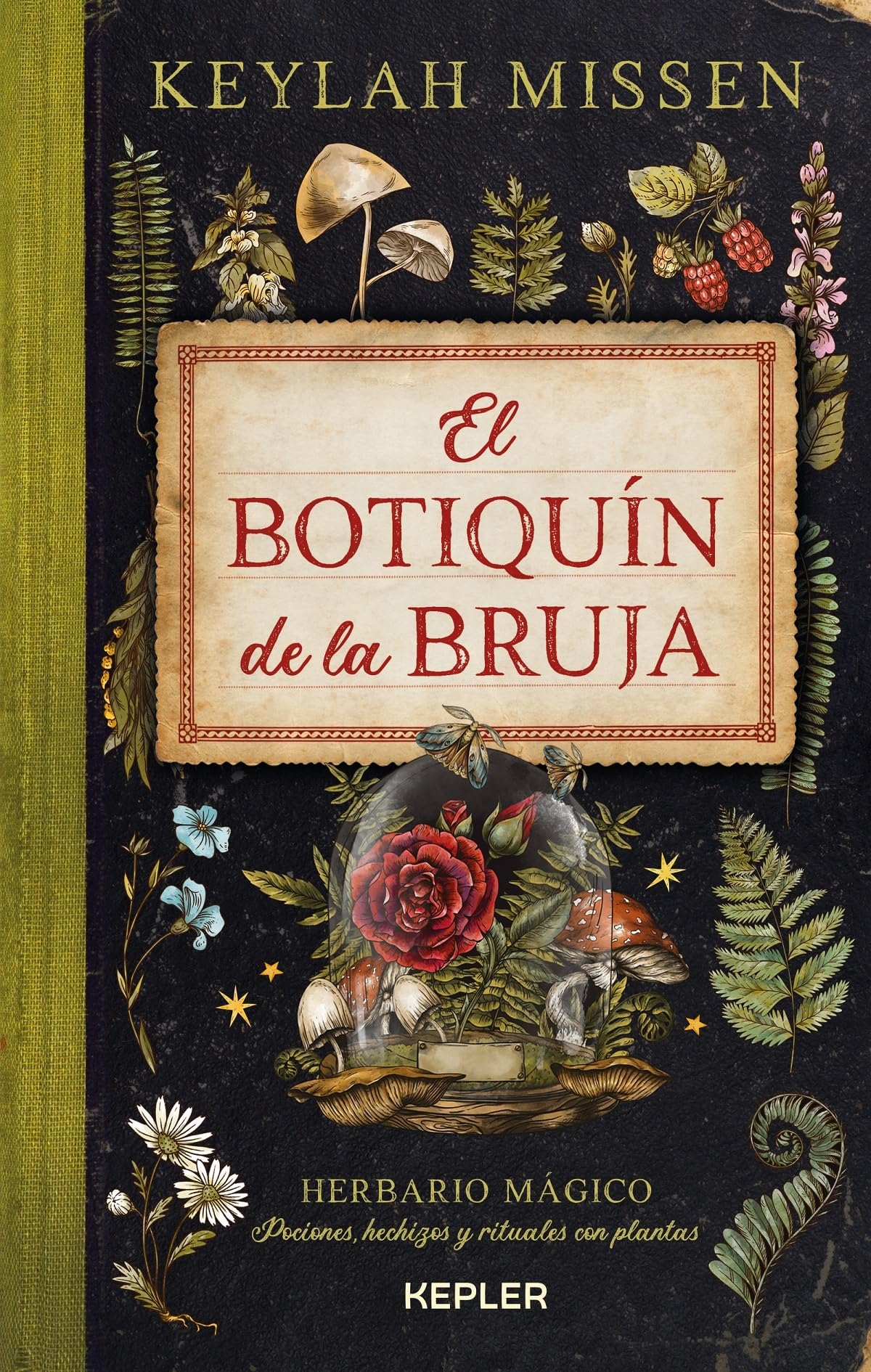 Libro: El botiquín de la bruja (Kepler Esoterismo): Herbario Magico; Pociones, Hechizos Y Rituales Con Plantas