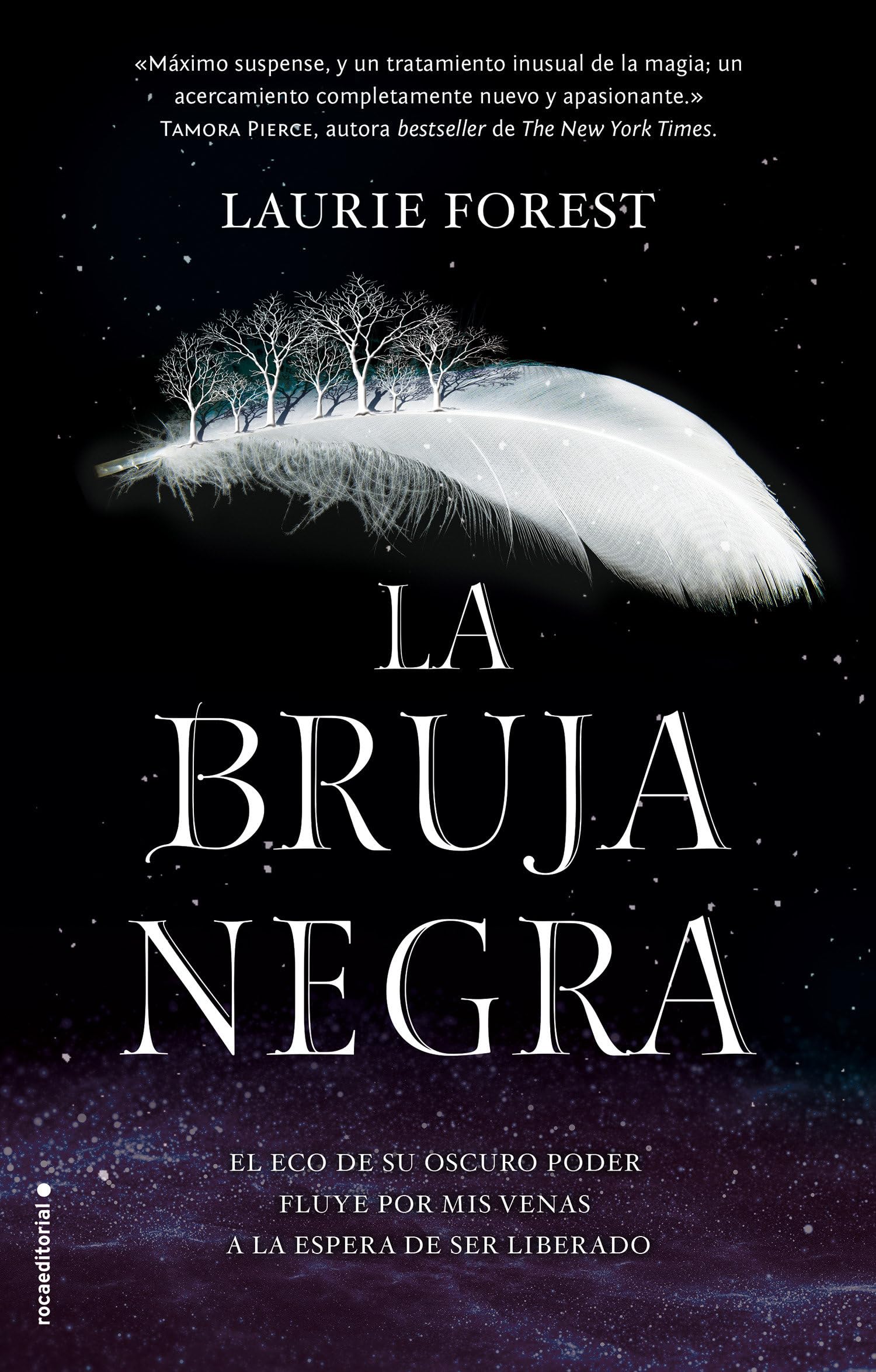 Libro: La bruja negra / The Black Witch (LAS CRÓNICAS DE LA BRUJA NEGRA / THE BLACK WITCH CHRONICLES) (Spanish Edition)
