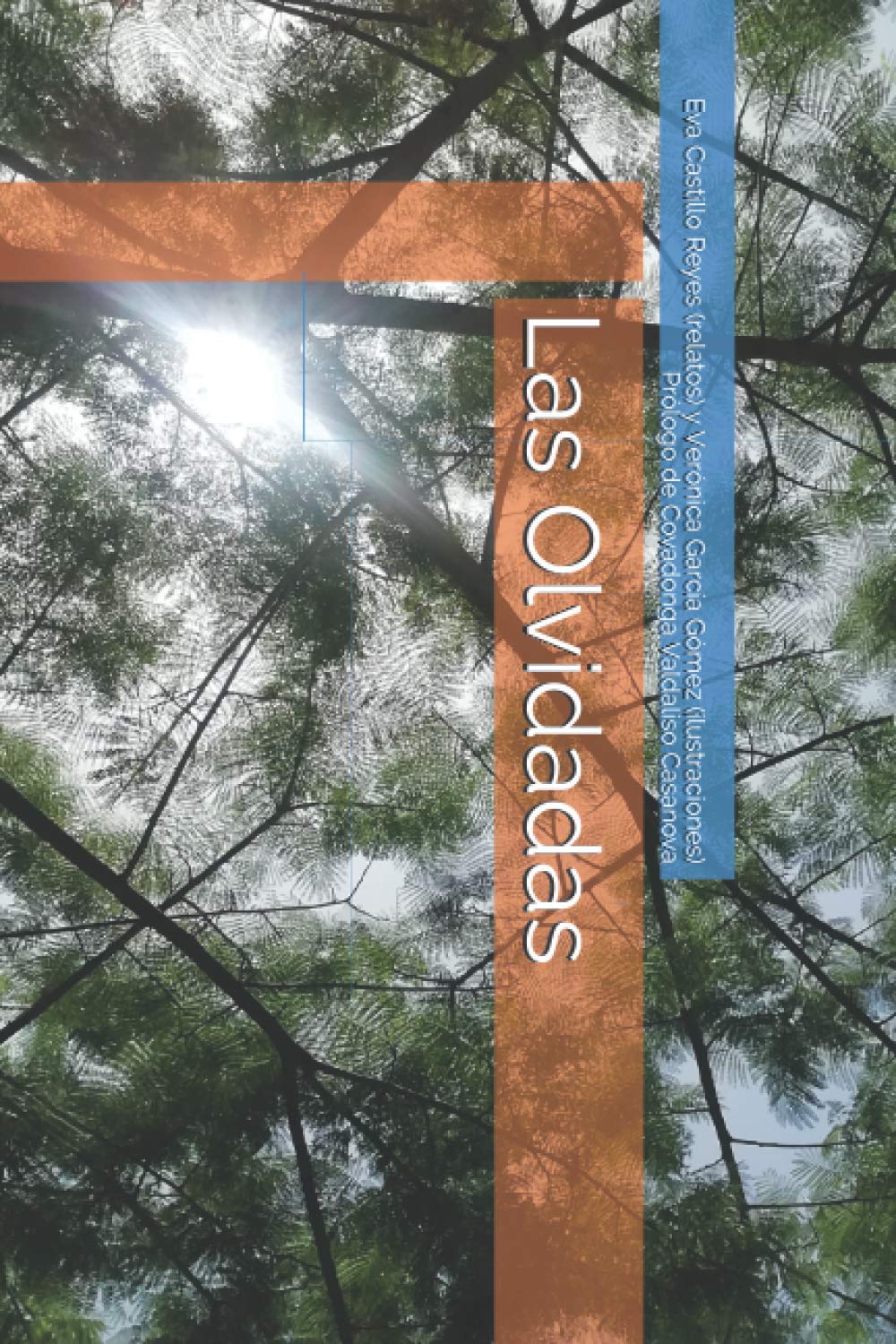 Libro: Las Olvidadas (Las mujeres de la II República) (Spanish Edition)