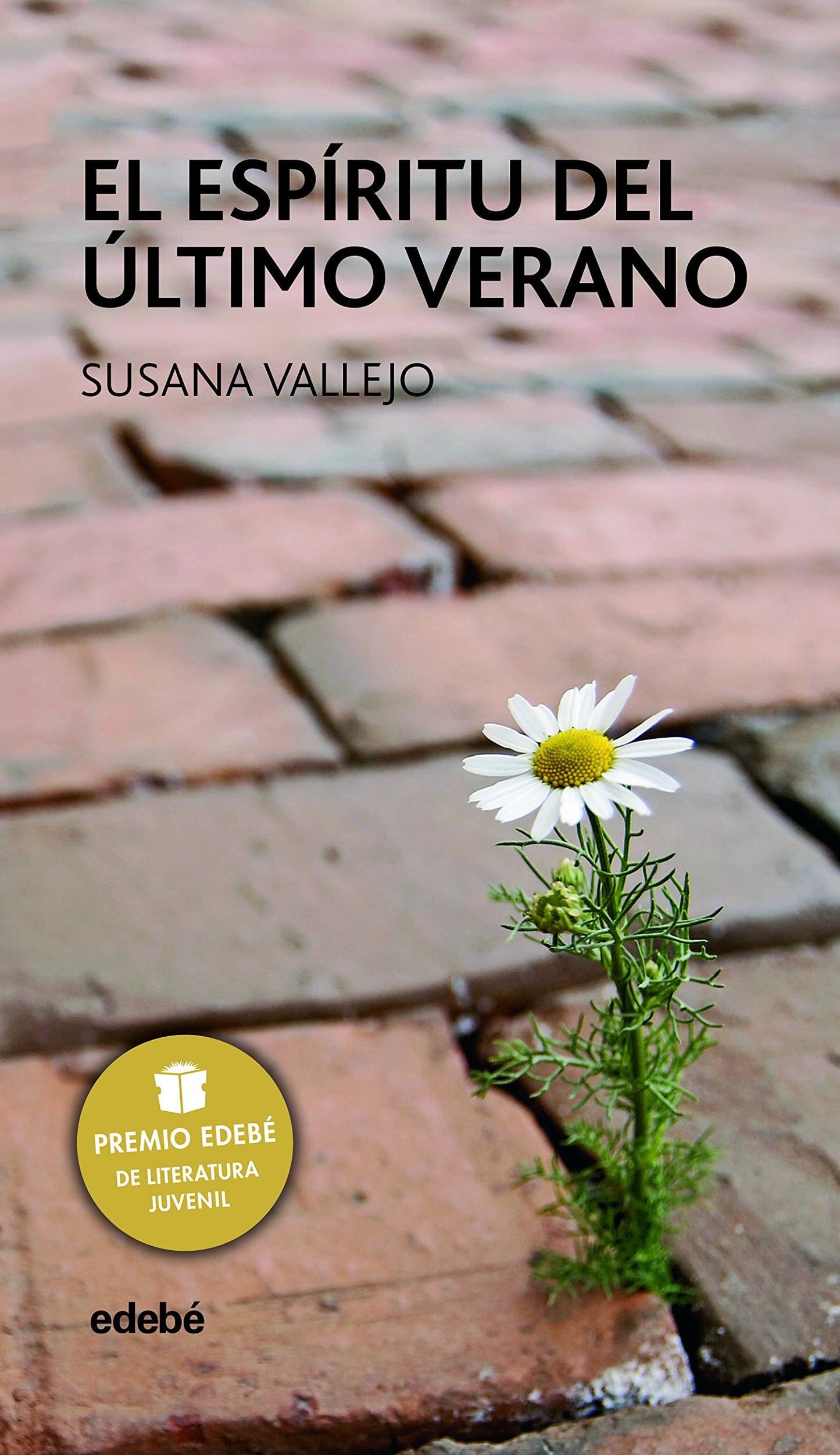 Libro: EL ESPÍRITU DEL ÚLTIMO VERANO (Spanish Edition)