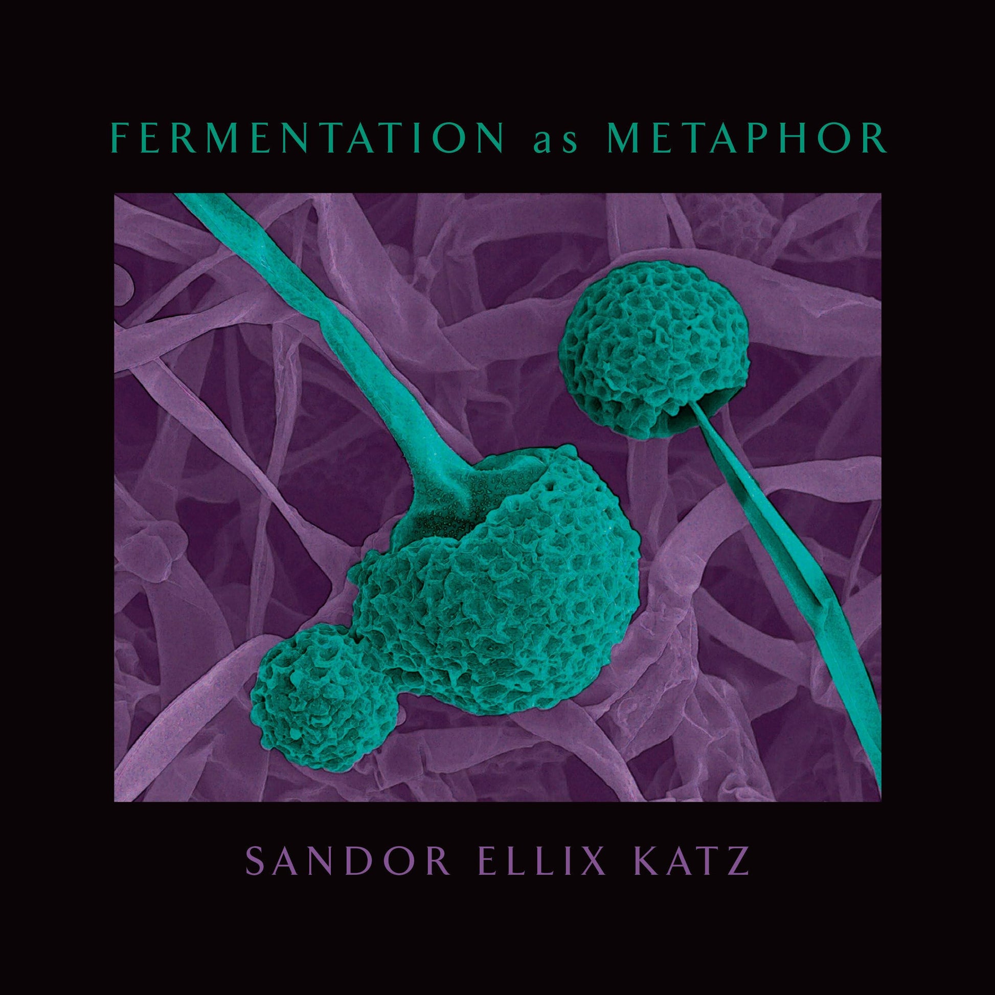 Libro: Fermentation as Metaphor: From the Author of the Bestselling The Art of Fermentation