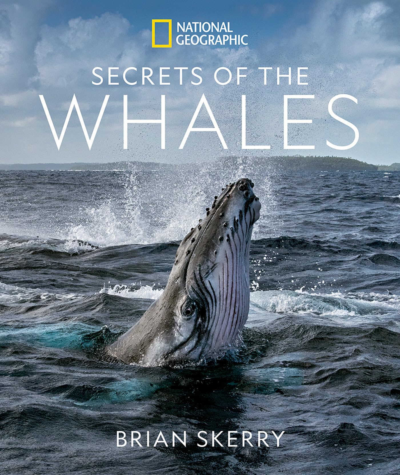Libro: Secrets of the Whales