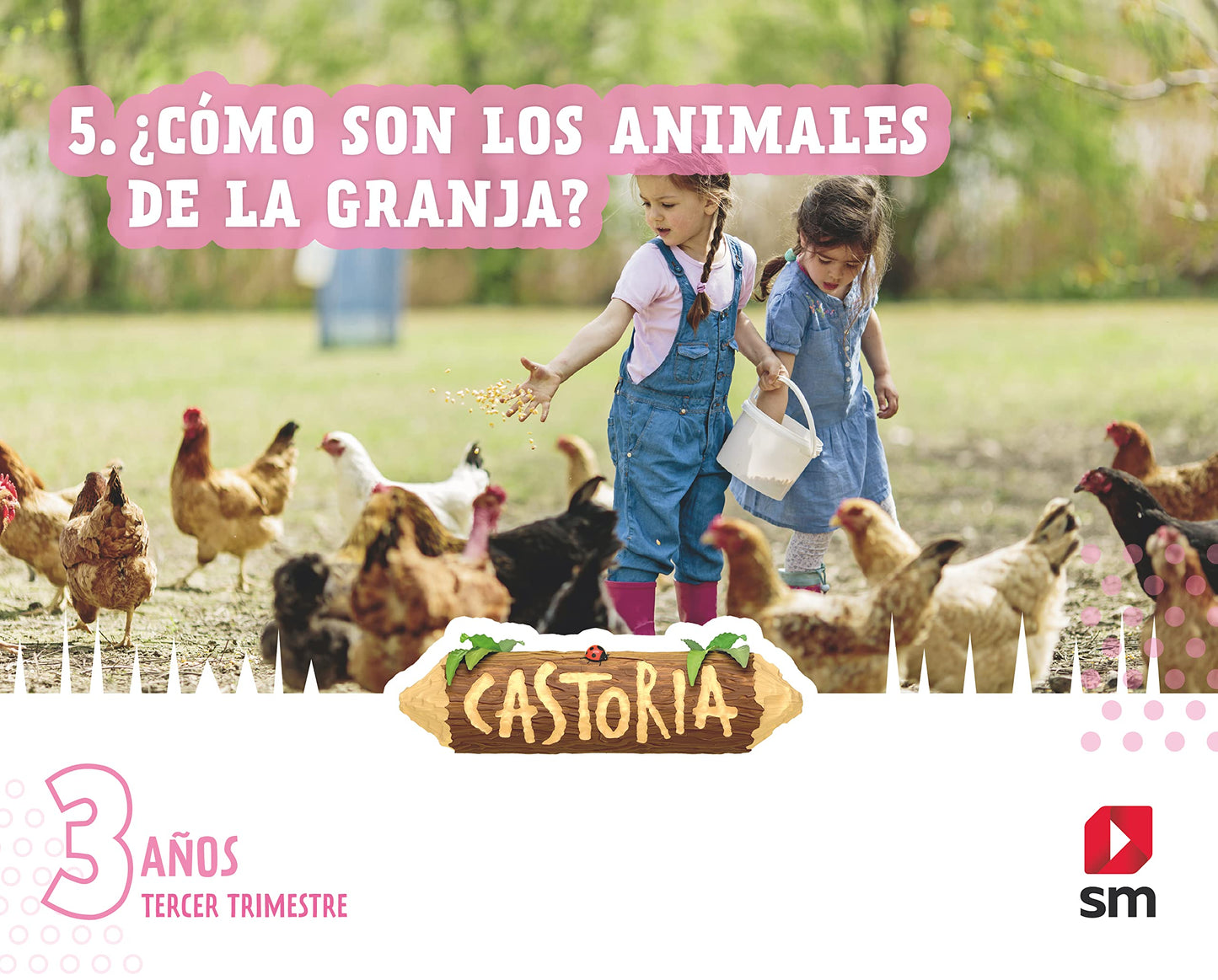 Libro: Áreas integradas. 1 Infantil. Tercer trimestre. Castoria