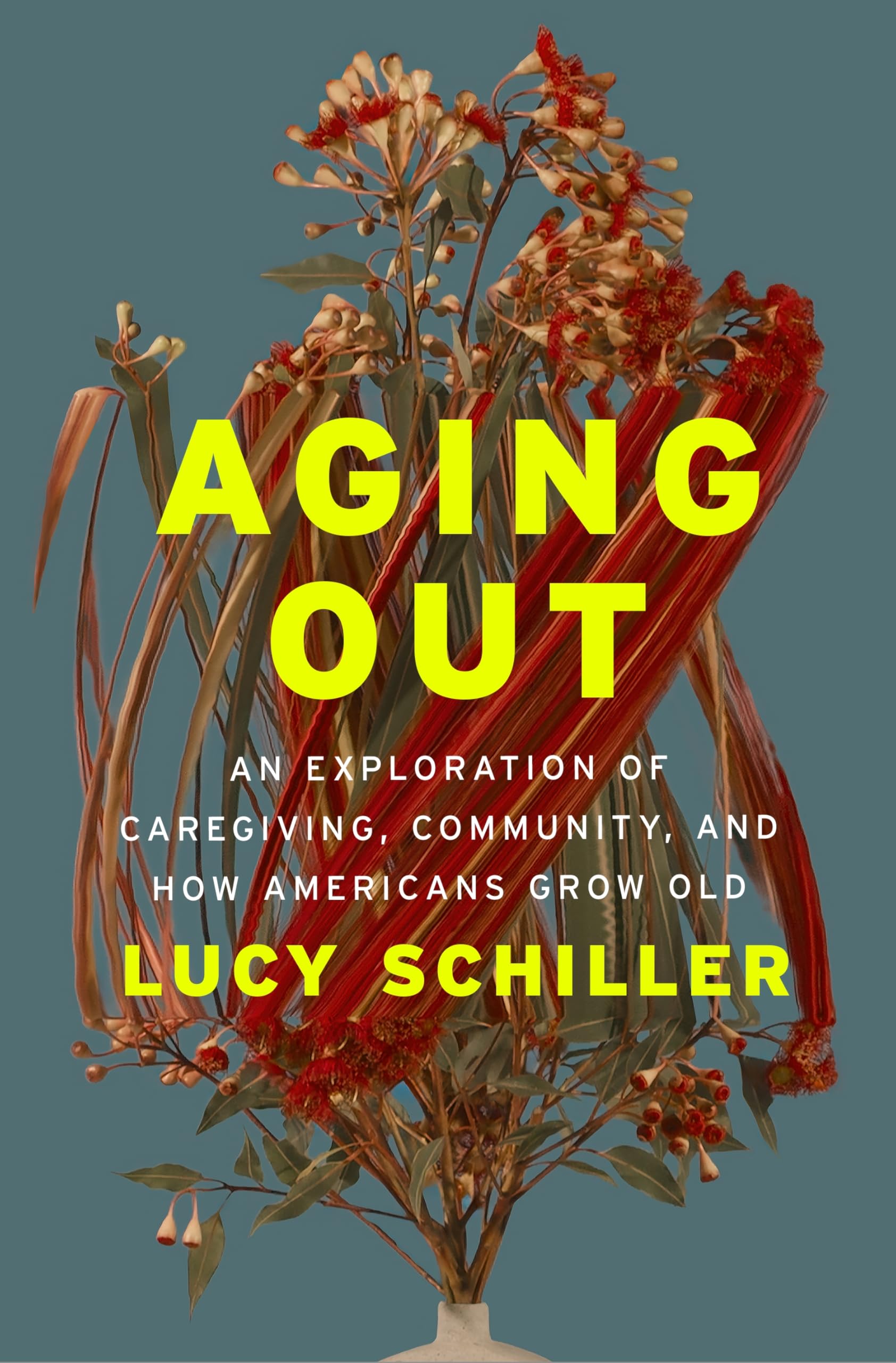 Libro: Aging Out: An Exploration of Caregiving, Community, and How Americans Grow Old