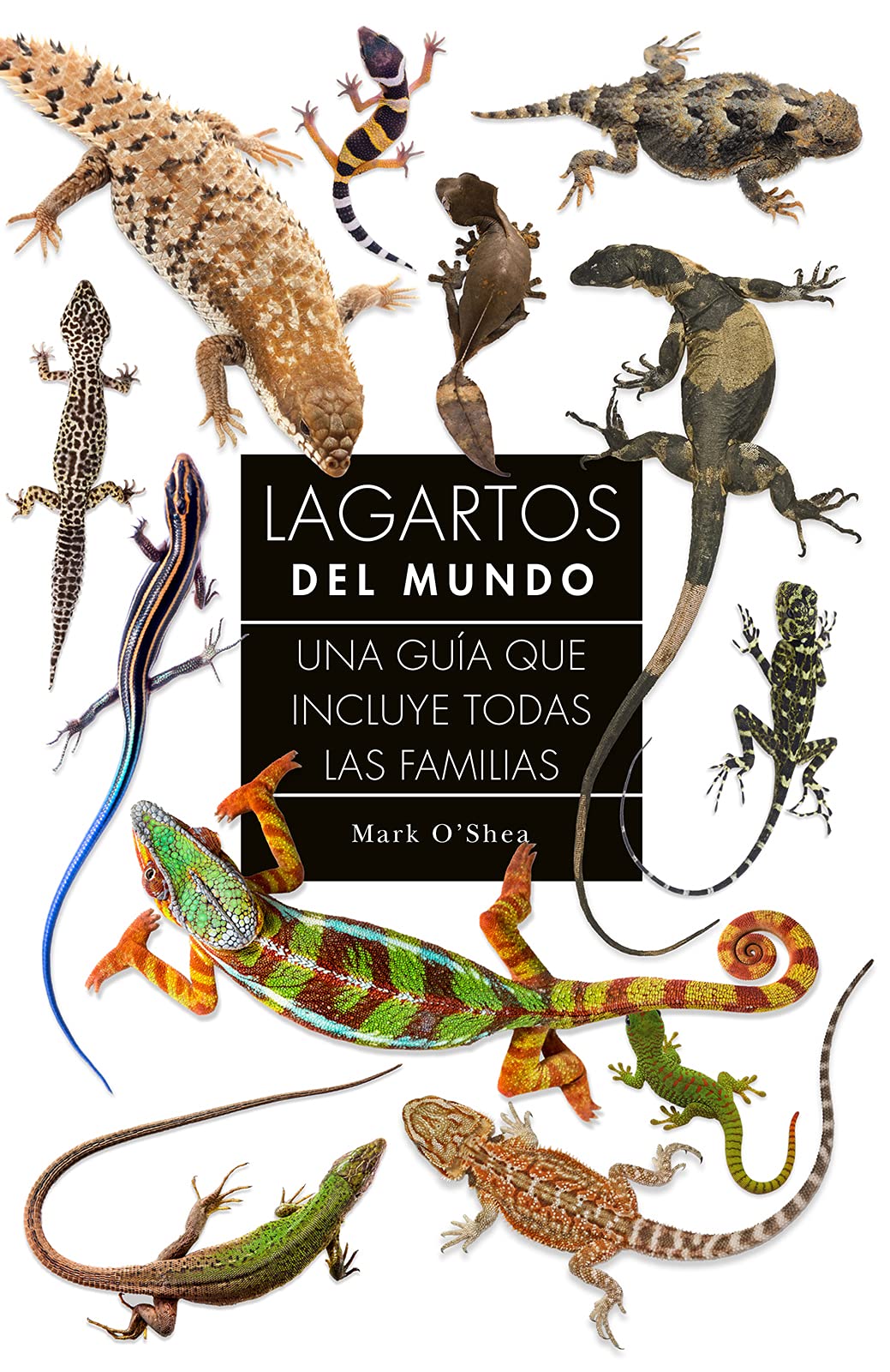 Libro: Lagartos del mundo: 20 (GUIAS DEL NATURALISTA)