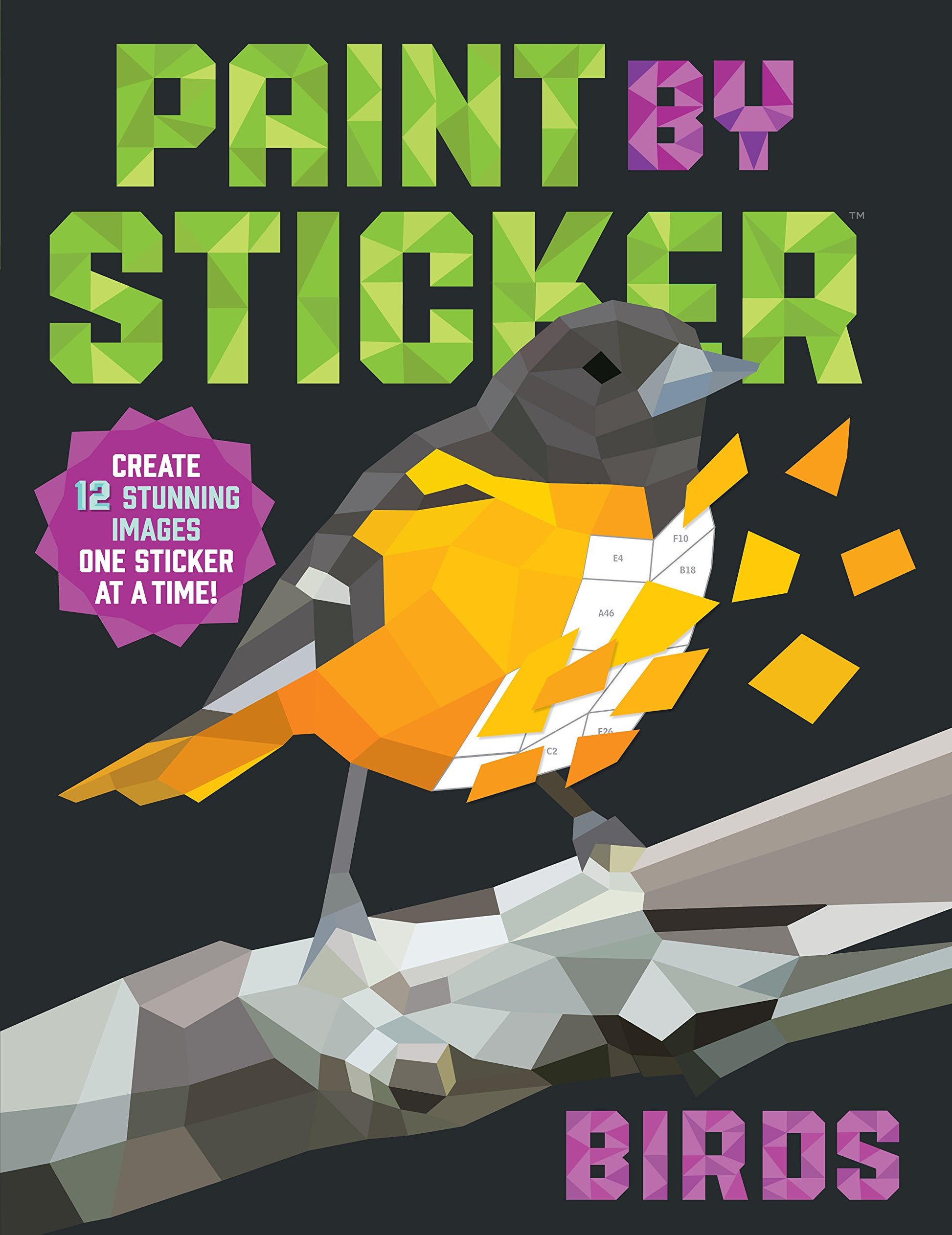 Libro: Paint by Sticker (Official): Birds: Create 12 Stunning Images One Sticker at a Time!