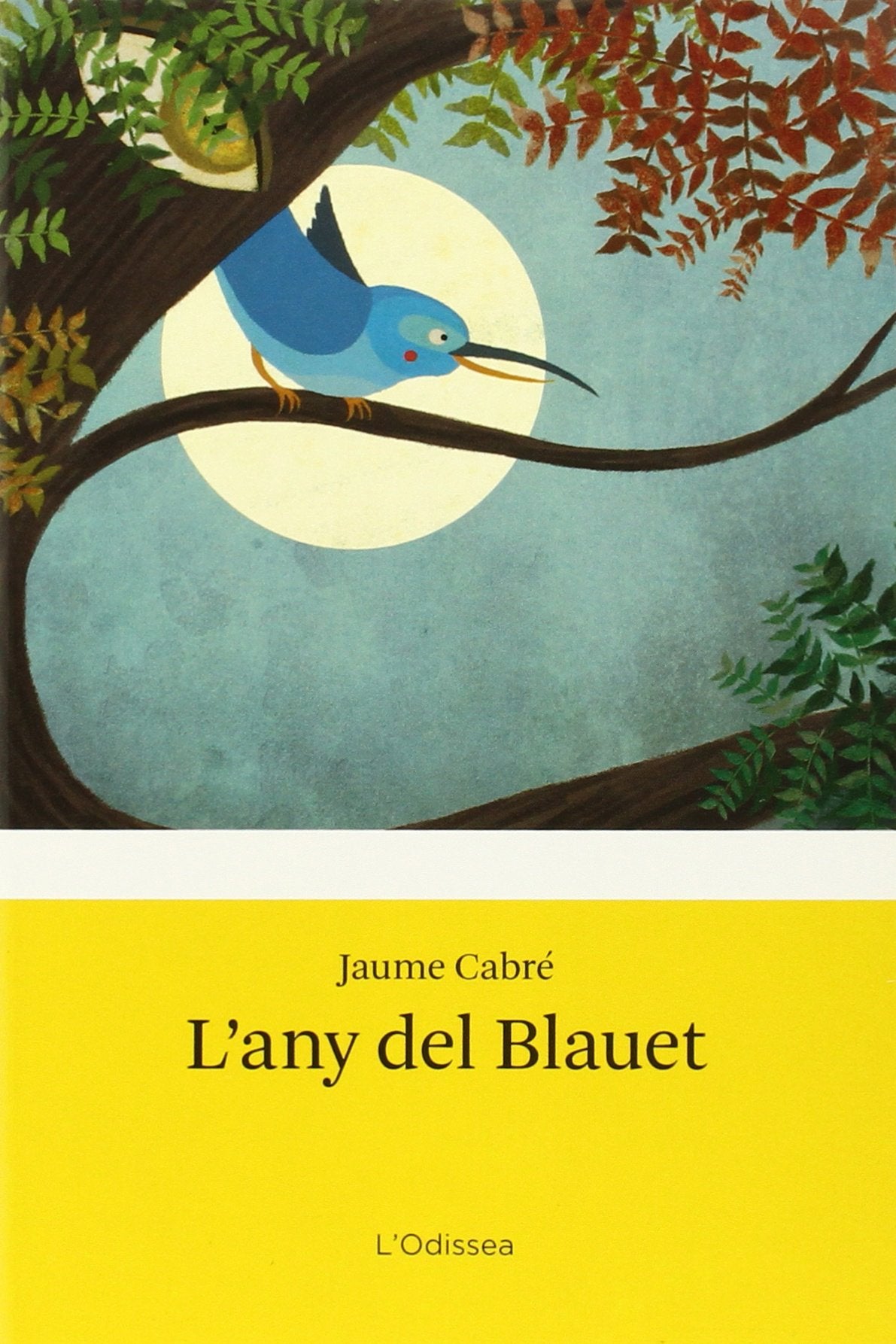 Libro: L'any del blauet