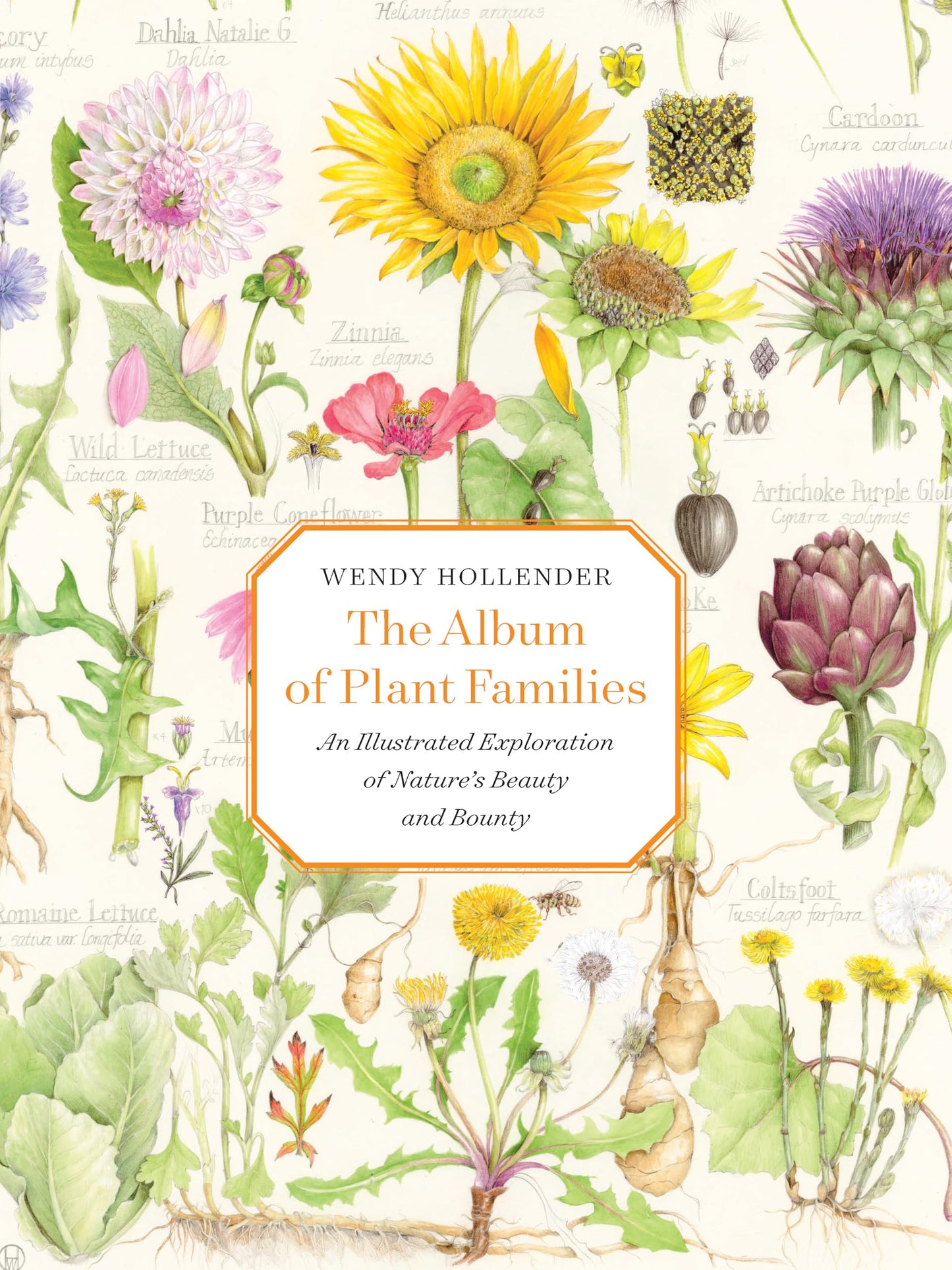 Libro: The Album of Plant Families: An Illustrated Exploration of Nature's Beauty and Bounty