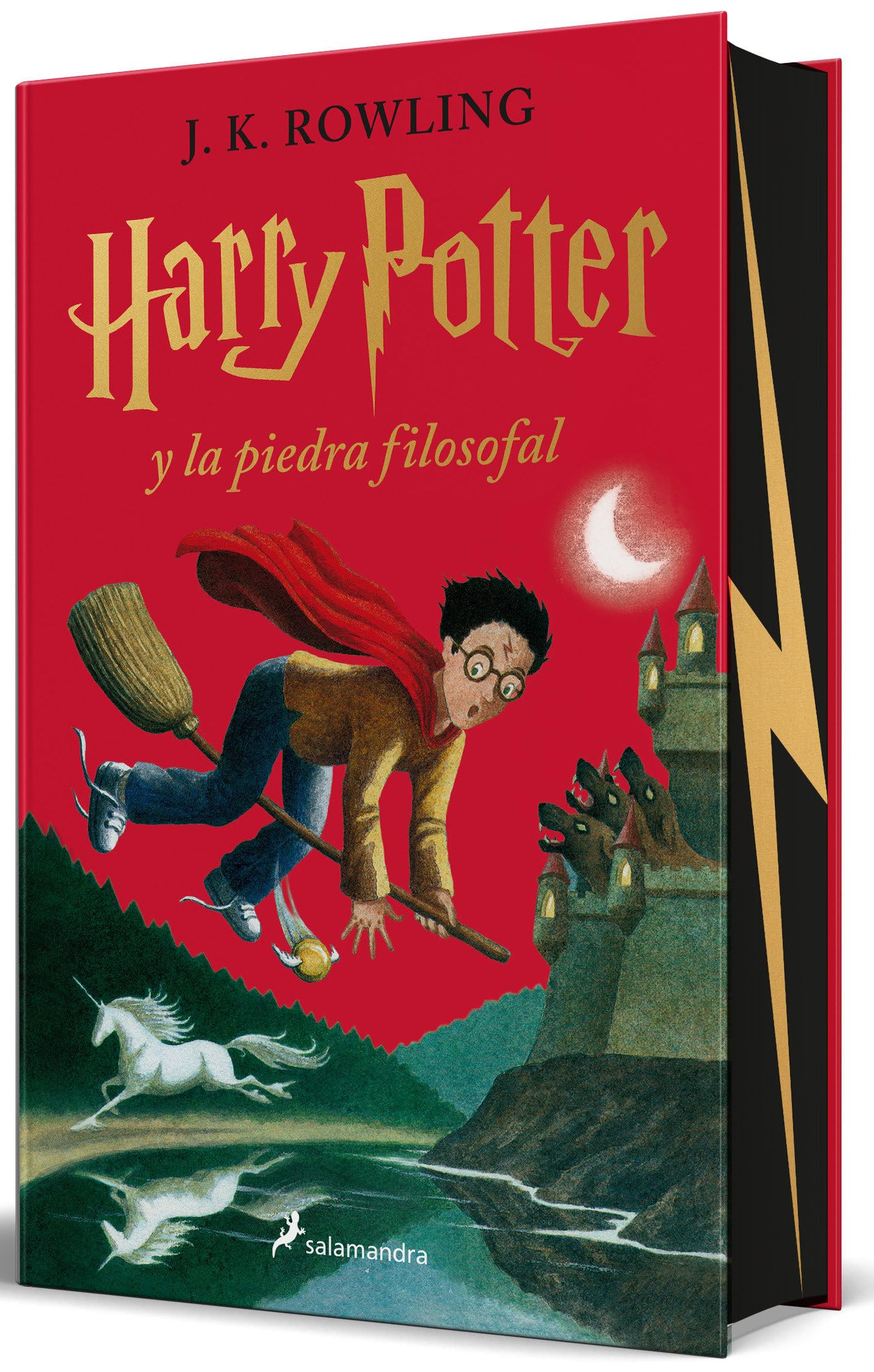 Libro: Harry Potter y la piedra filosofal (edición especial con cantos pintados) (Harry Potter [edición con la portada ilustrada por Dolores Avendaño] 1): Con Cantos Pintados/ Sprayed Edges