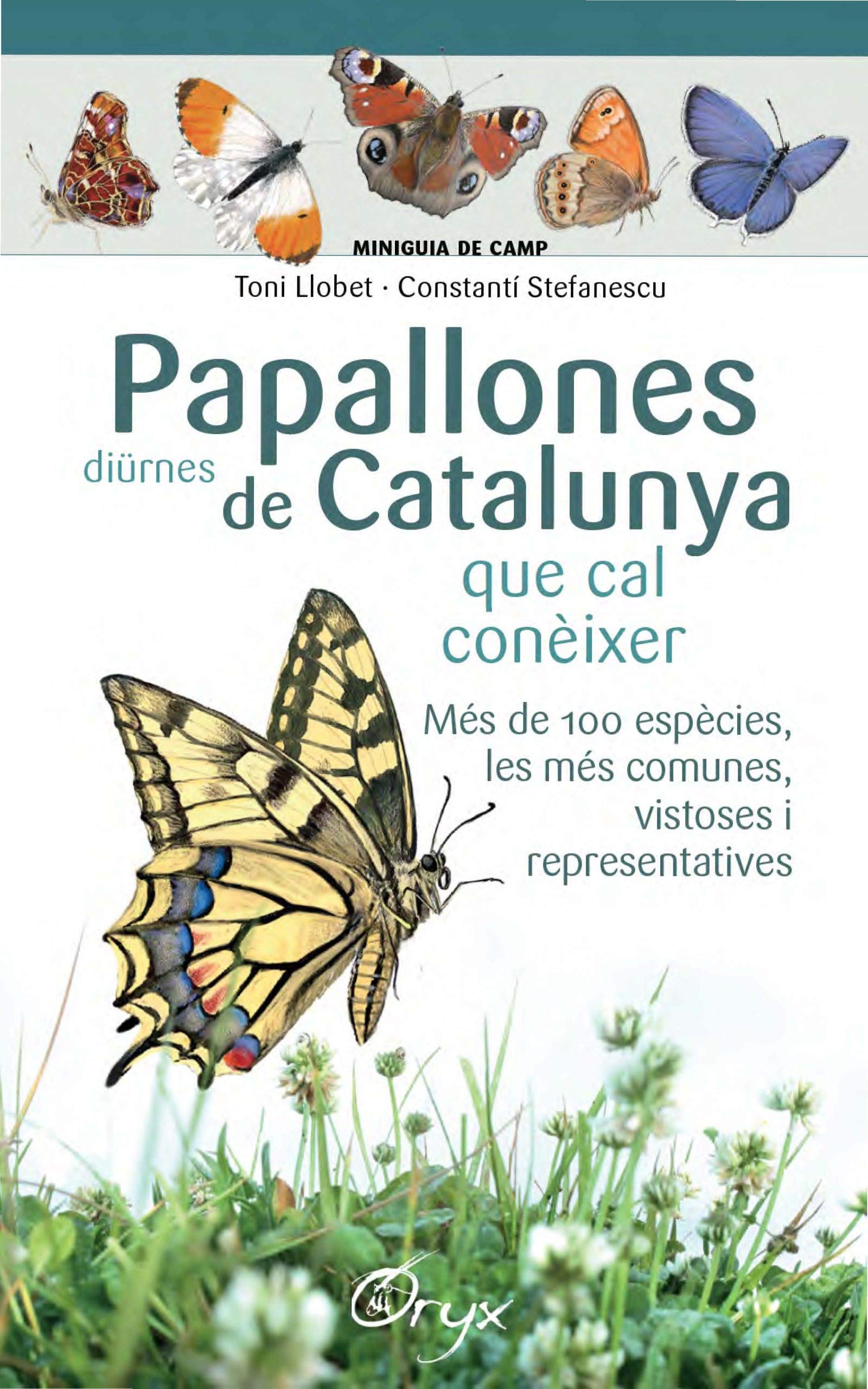 Libro: Papallones Diürnes De Catalunya: que cal conèixer (Miniguia de camp)