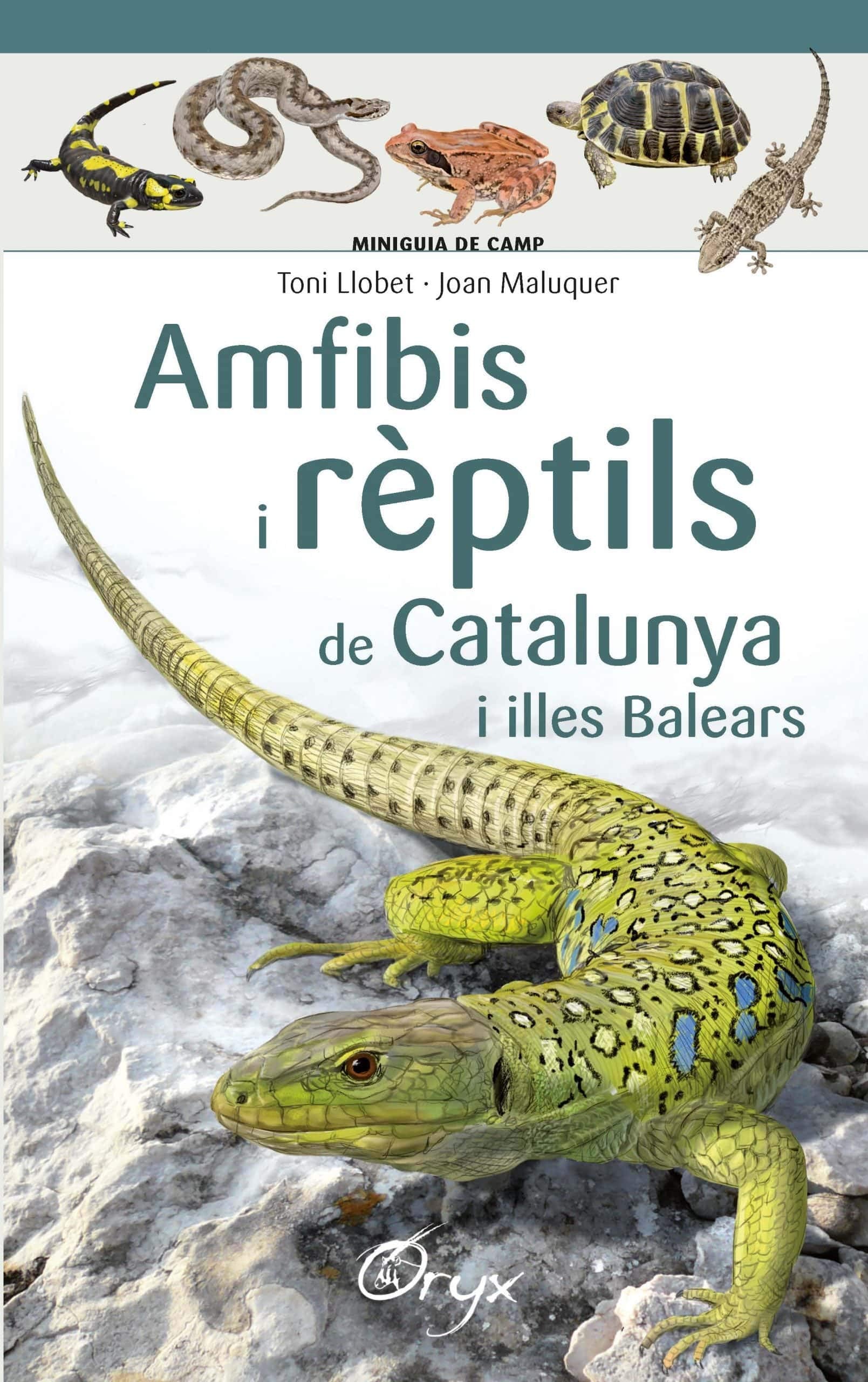Libro: Amfibis I Reptils De Catalunya (Miniguia de camp)