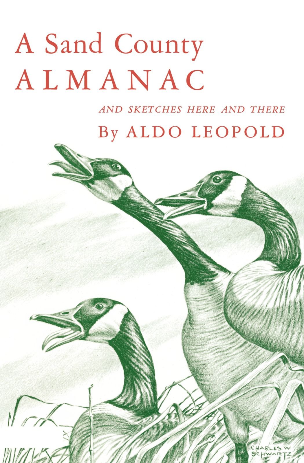 Libro: A Sand County Almanac and Sketches Here and There: With other Essays on Conservation from `Round River': 263 (Galaxy Books)