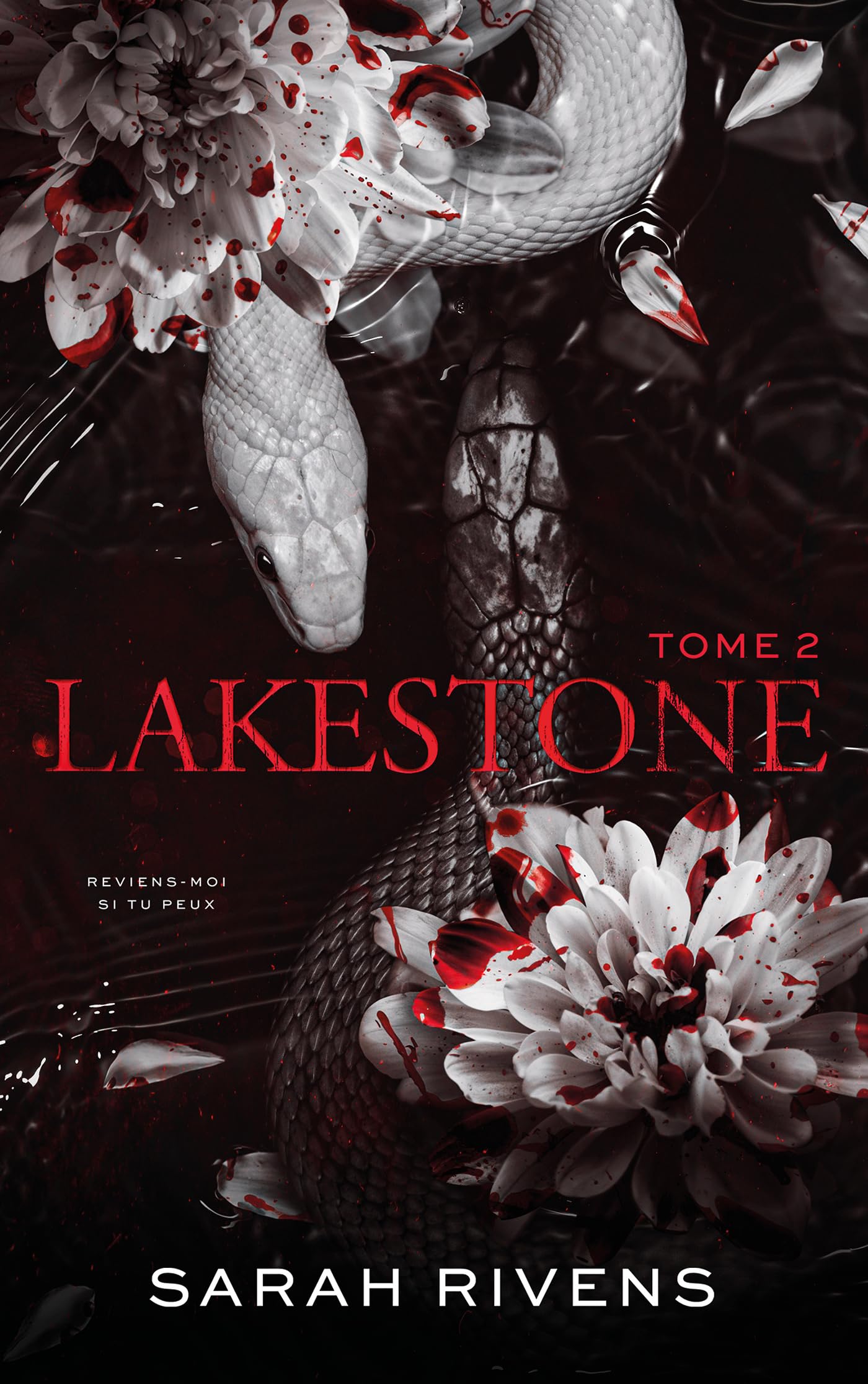 Libro: Lakestone - tome 2