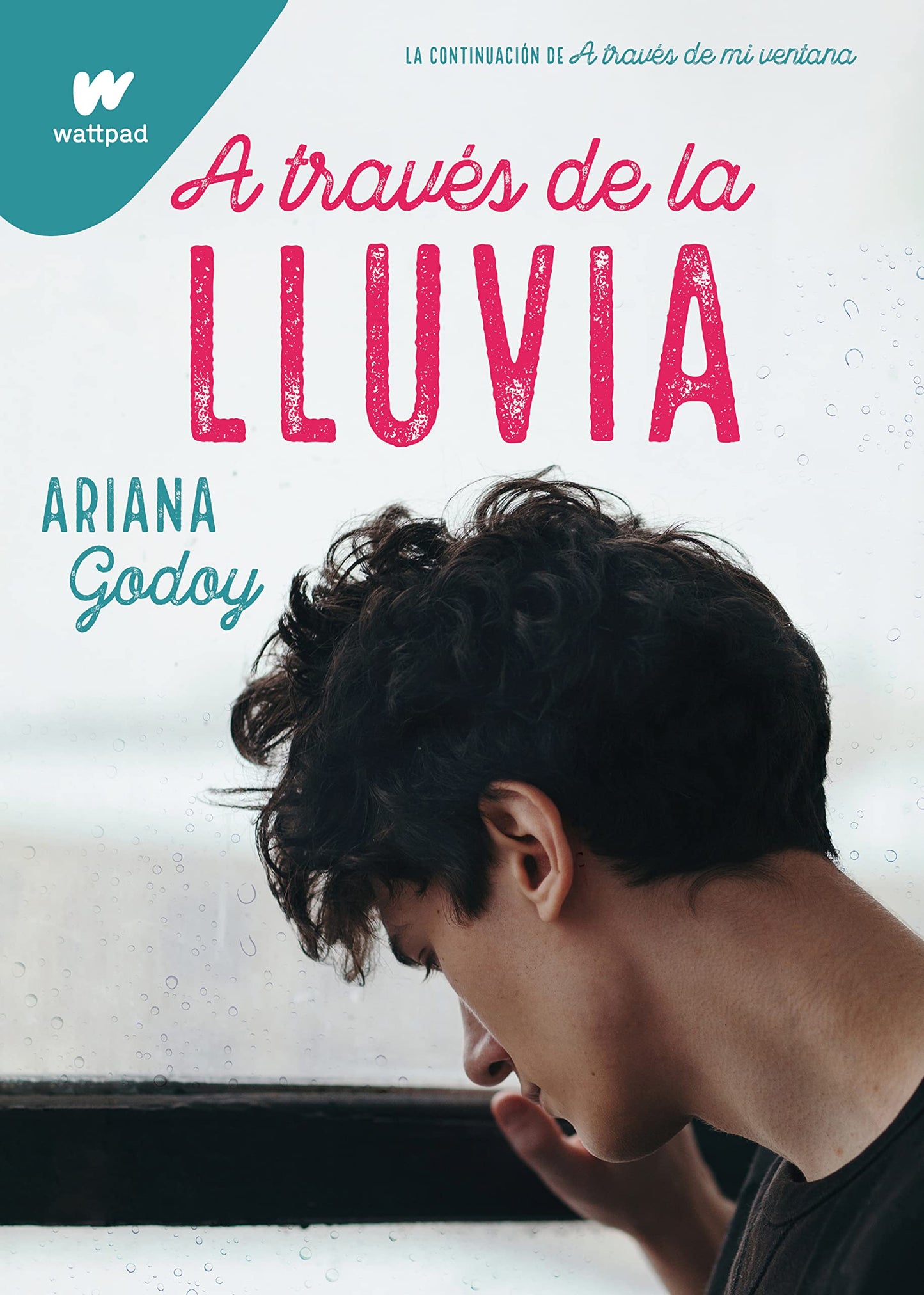 Libro: A través de la lluvia (edición revisada por la autora) (Trilogía Hermanos Hidalgo 3) (Wattpad)