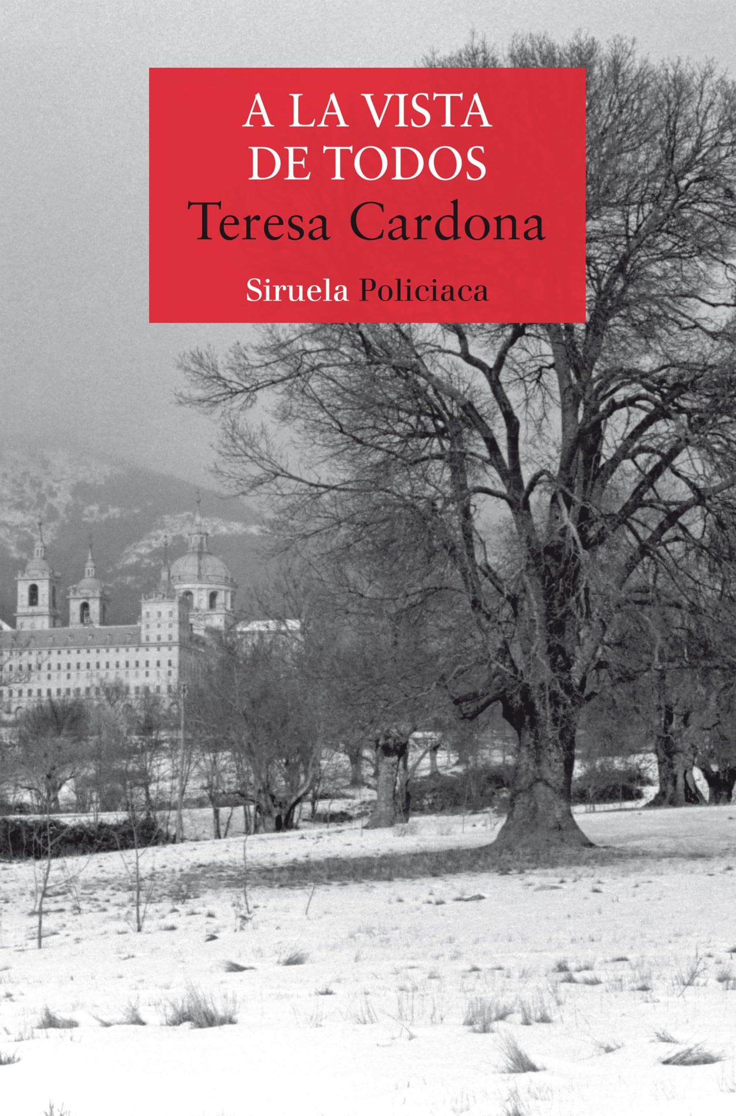 Libro: A la vista de todos: Serie de Blecker y Cano 4 (Nuevos Tiempos / Policiaca)